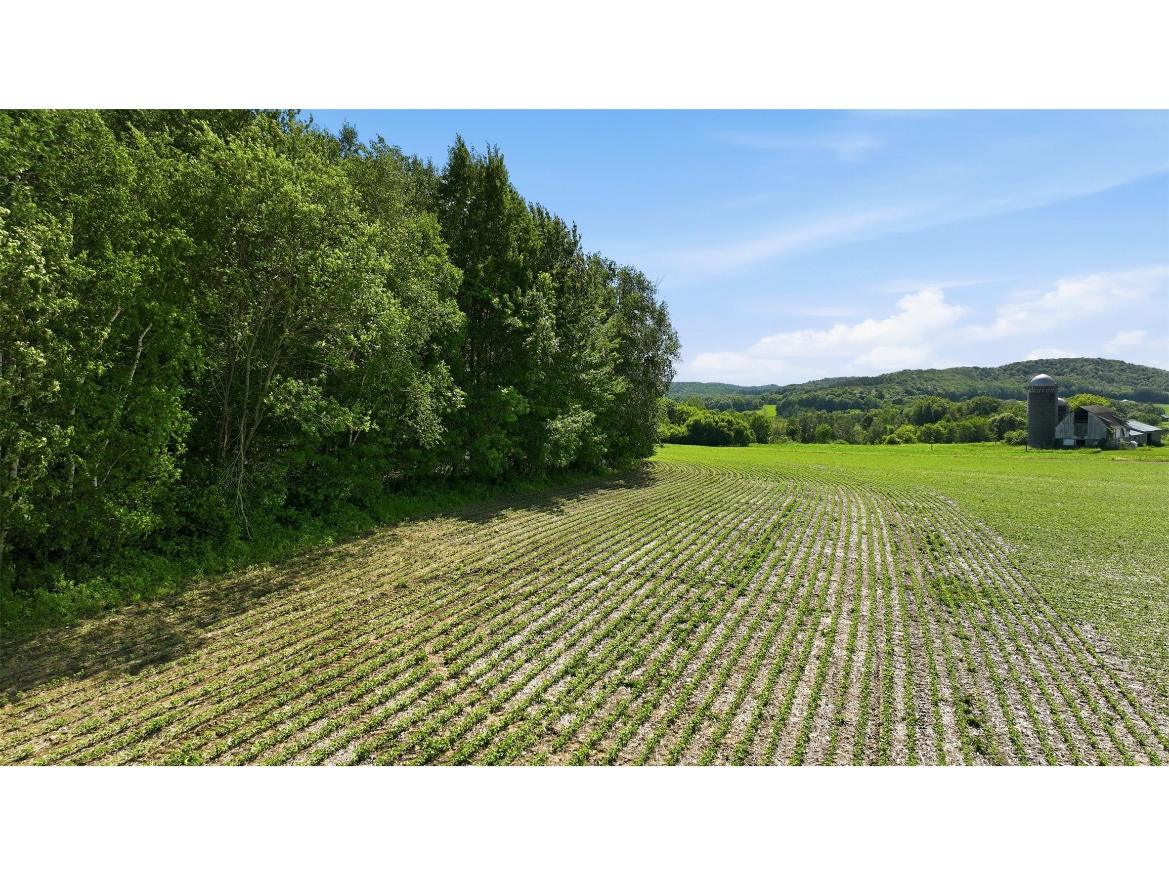 20 acres 150th Ave. Colfax WI 54730 1602151 image22