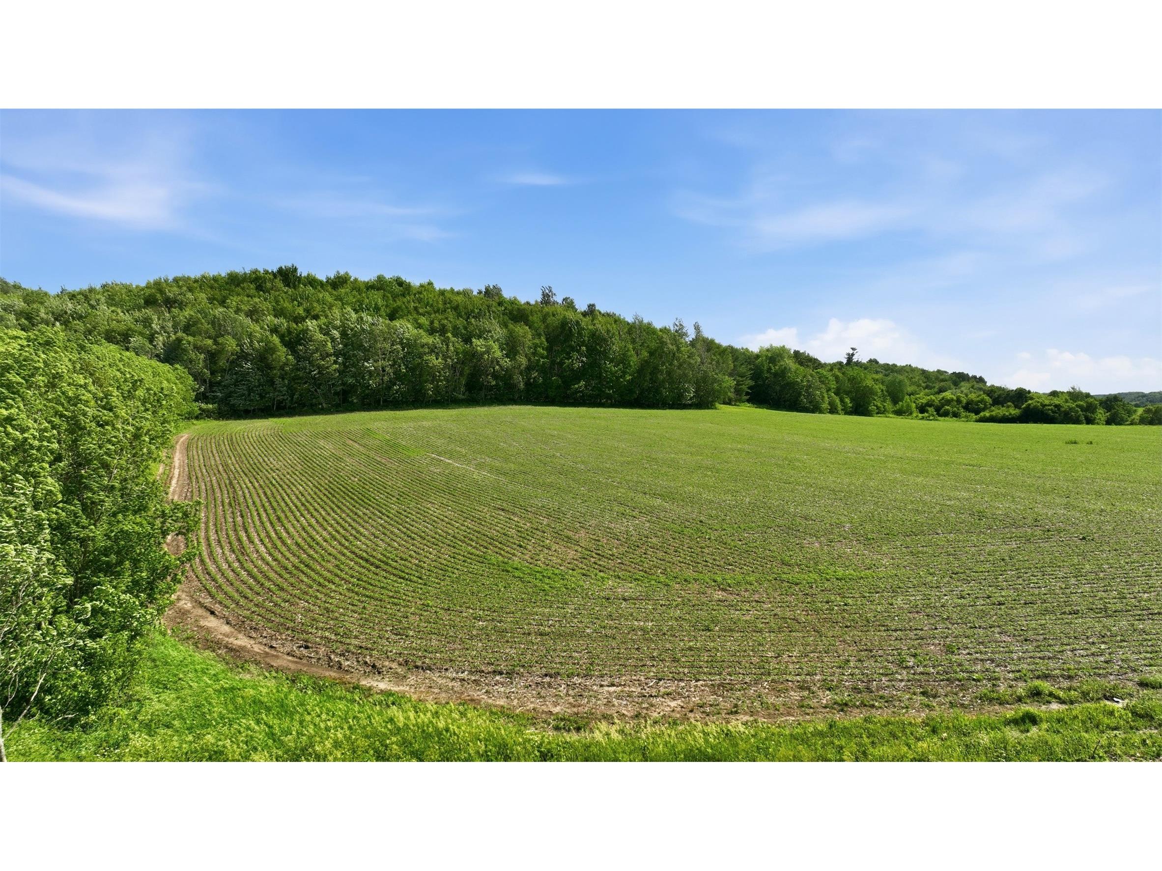 20 acres 150th Ave. Colfax WI 54730 1602151 image23