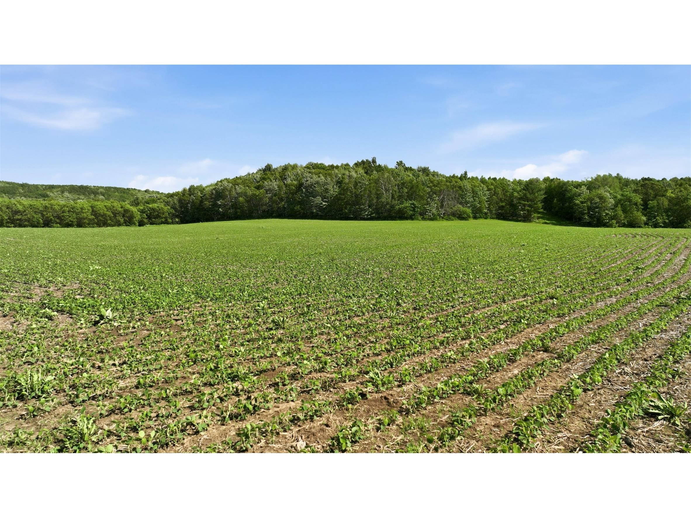 20 acres 150th Ave. Colfax WI 54730 1602151 image24