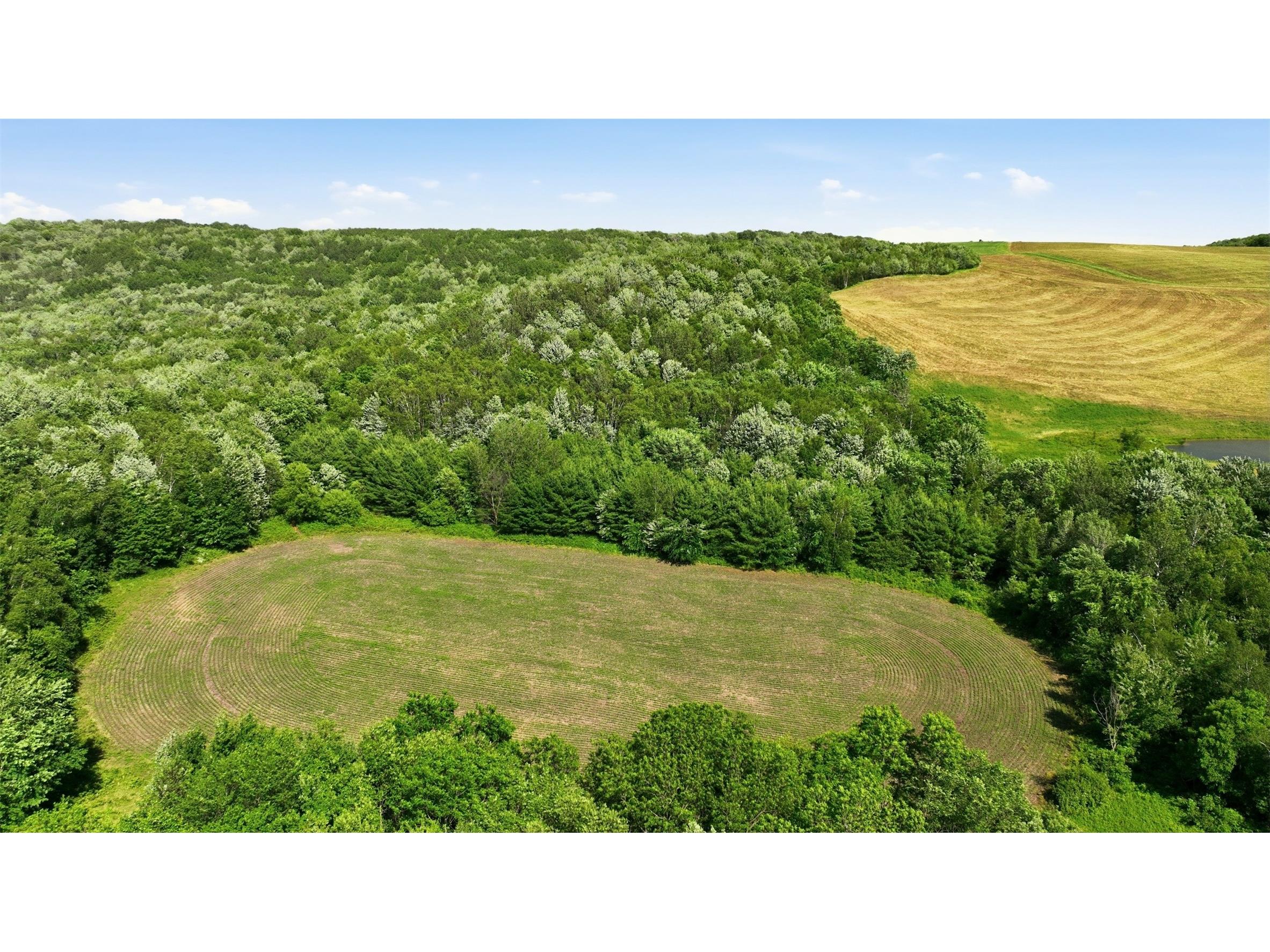 20 acres 150th Ave. Colfax WI 54730 1602151 image25