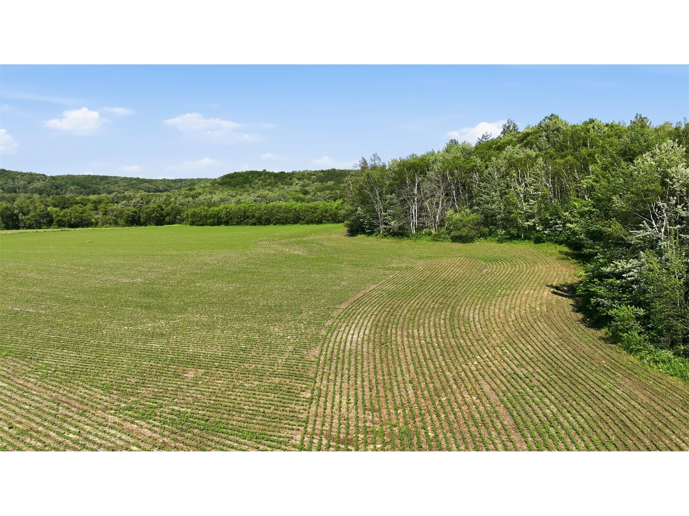 20 acres 150th Ave. Colfax WI 54730 1602151 image26