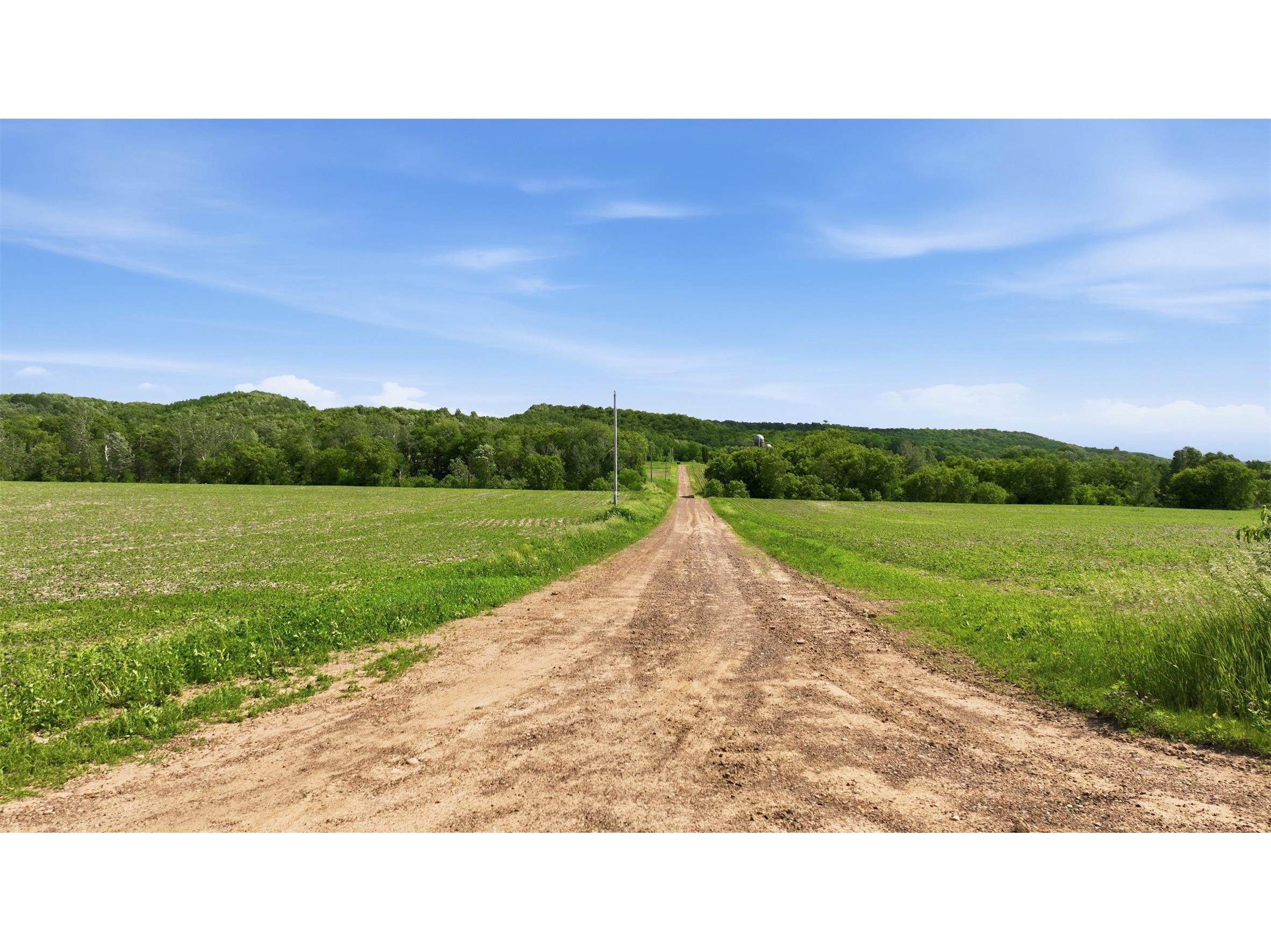 20 acres 150th Ave. Colfax WI 54730 1602151 image28