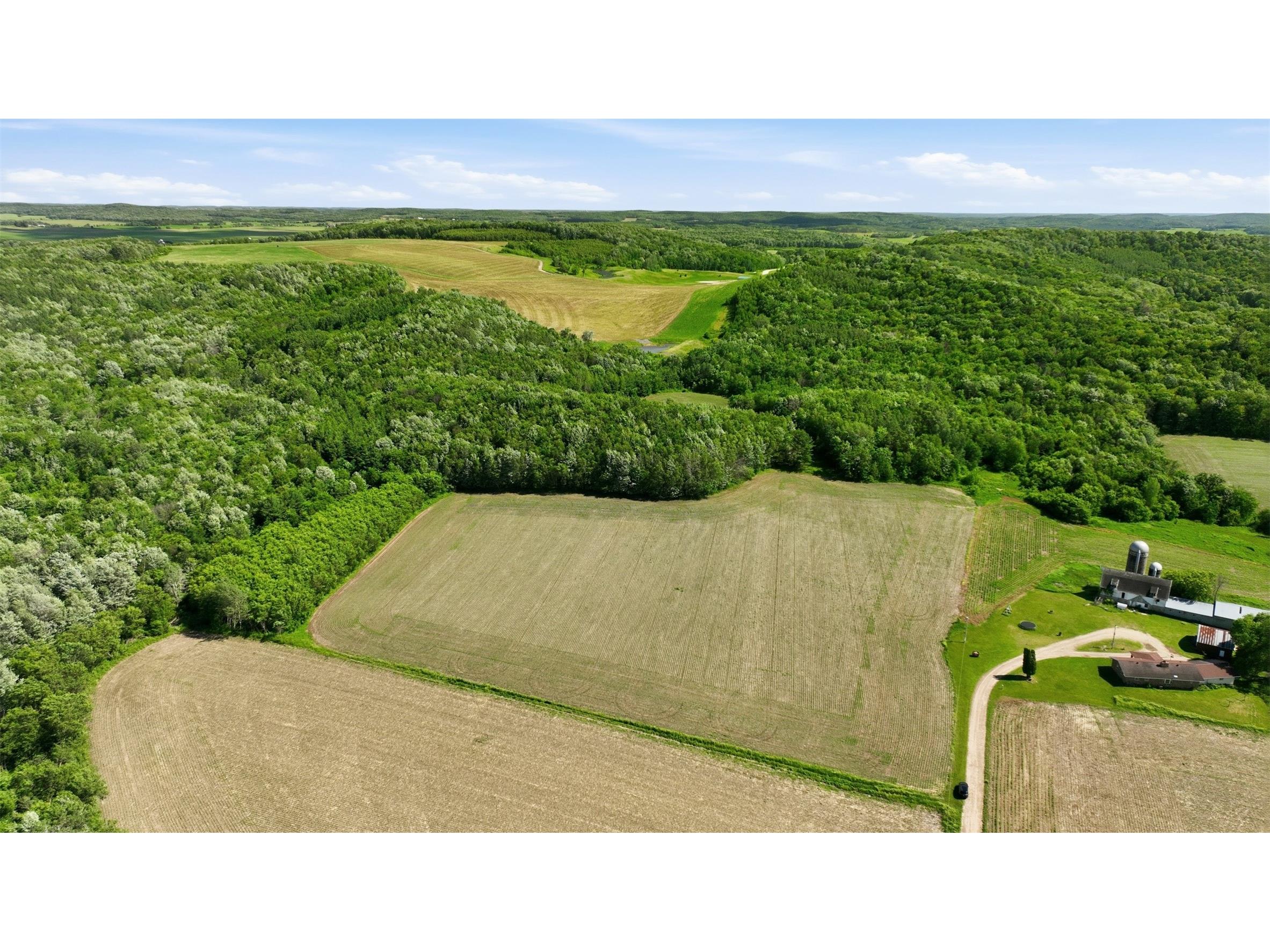 20 acres 150th Ave. Colfax WI 54730 1602151 image6