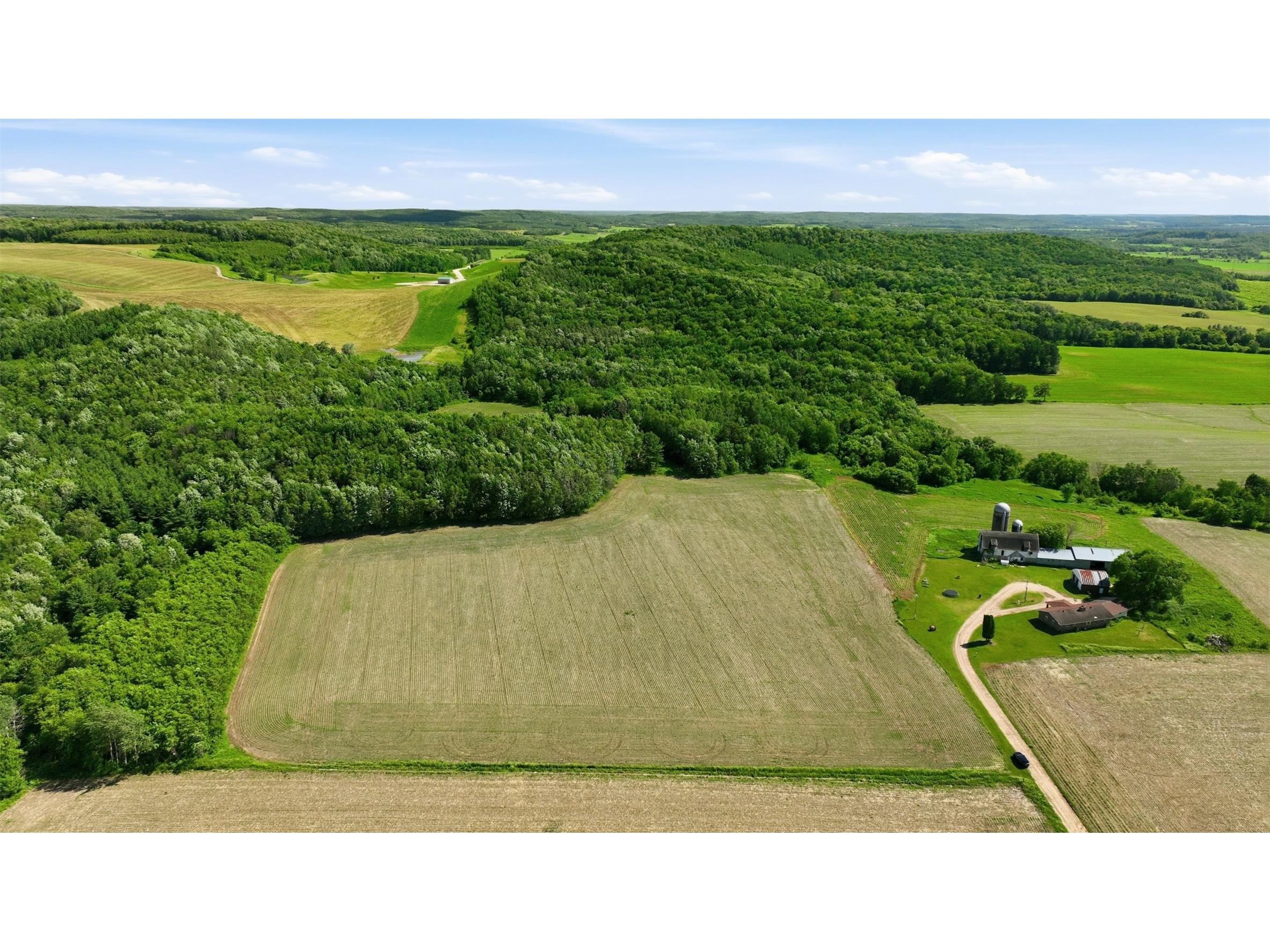 20 acres 150th Ave. Colfax WI 54730 1602151 image7