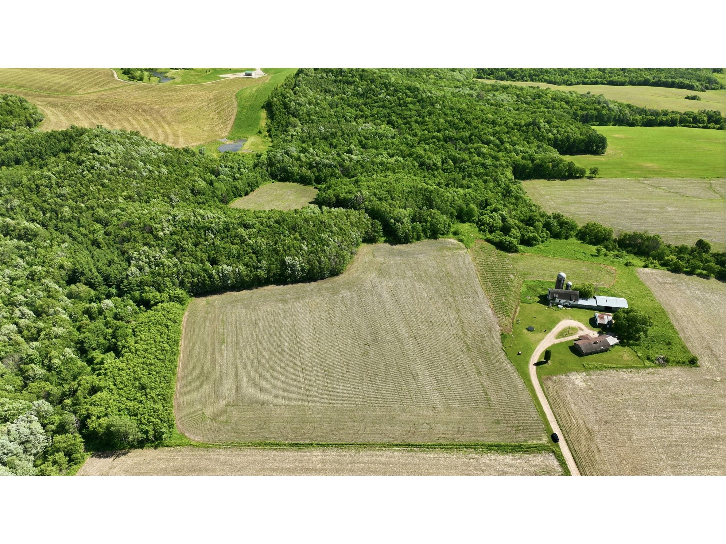 20 acres 150th Ave. Colfax WI 54730 1602151 image8