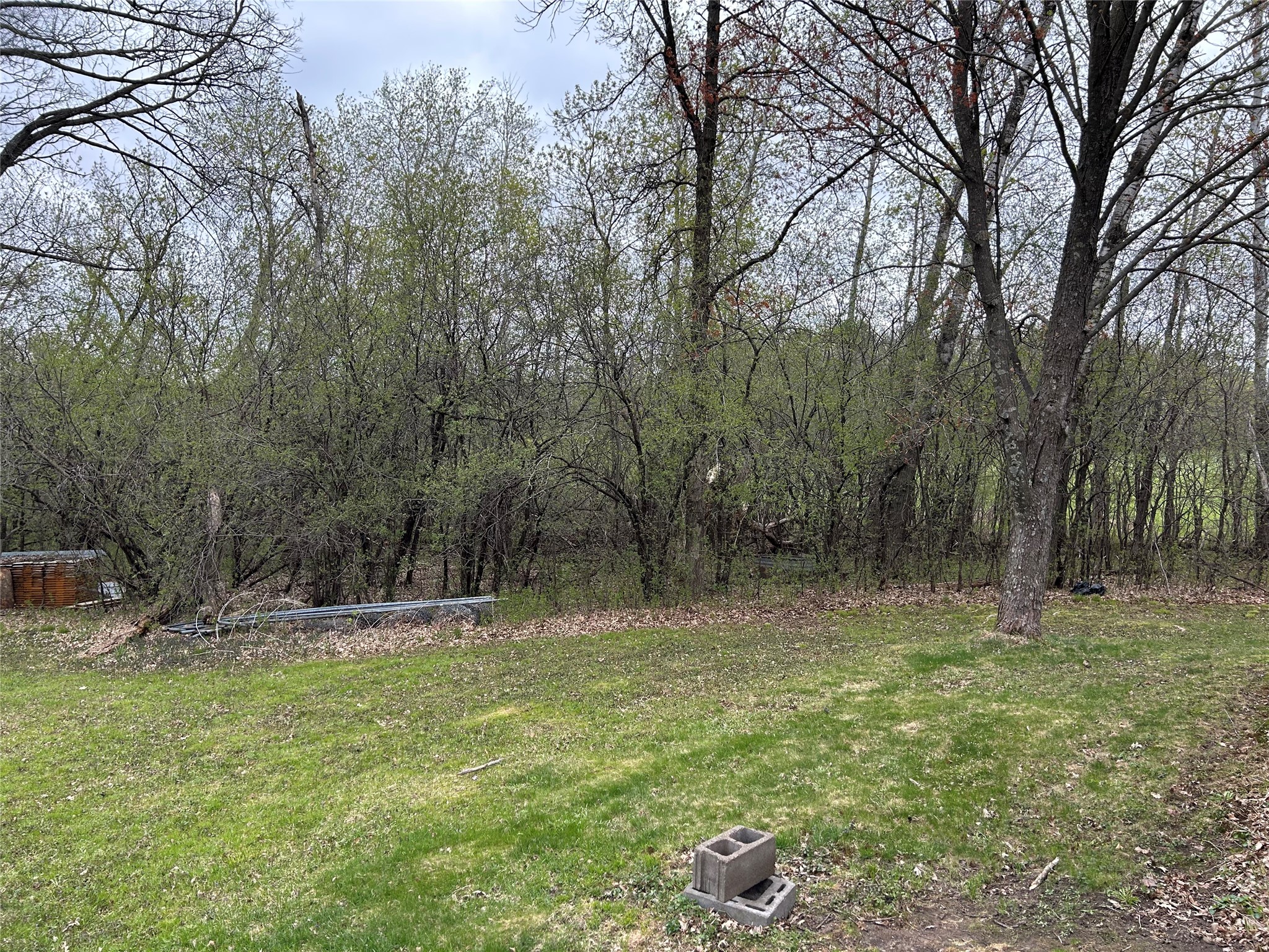 203 Dallas Street E Dallas WI 54733 1600875 image43