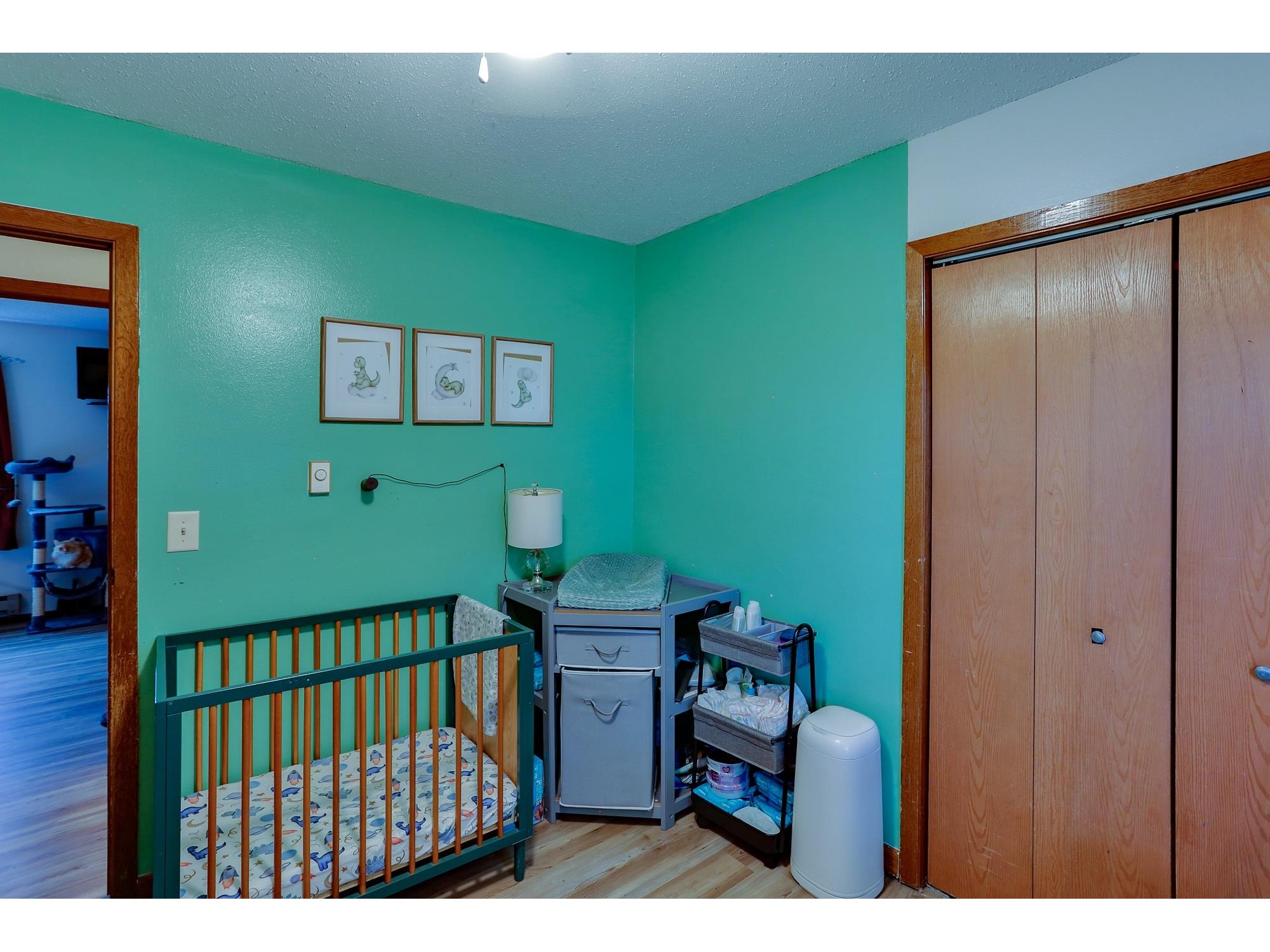 203 Hart Street Melrose WI 54642 1602241 image23