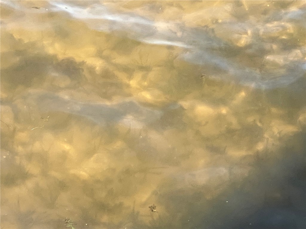 2036C 135th Street #C Milltown WI 54858 - Half Moon Lake 1595511 image25