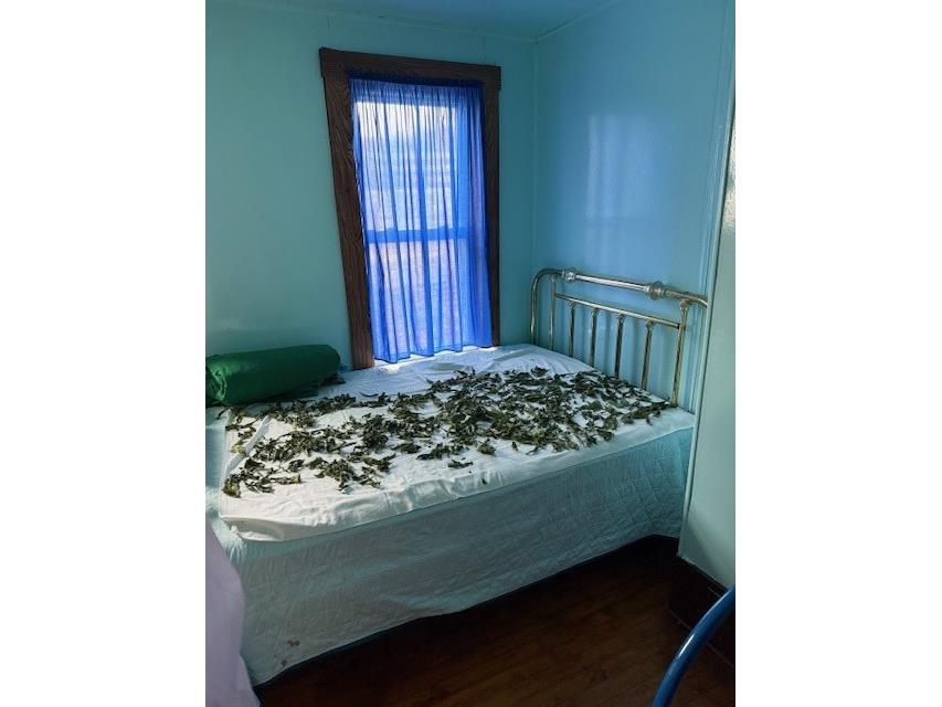 2038 4th Avenue Chetek WI 54728 - Sioux Creek 1596842 image7