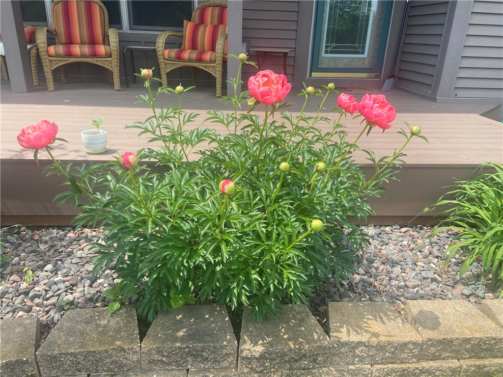 2061 10th Avenue Star Prairie WI 54026 1597259 image48