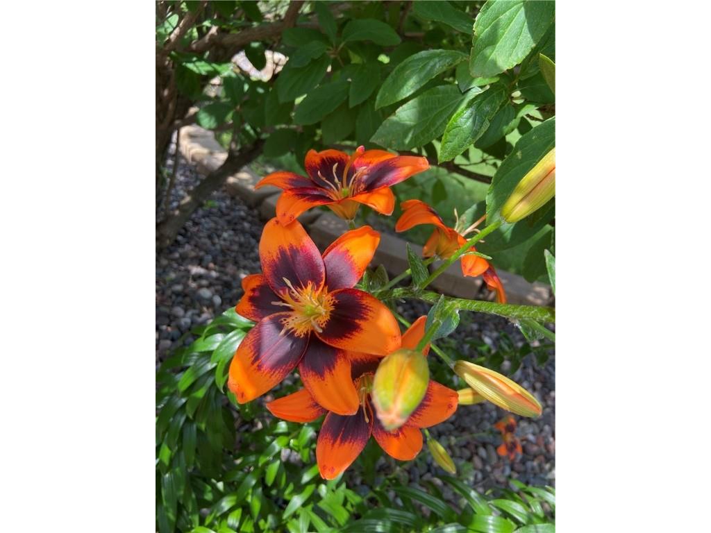 2061 10th Avenue Star Prairie WI 54026 1597259 image52