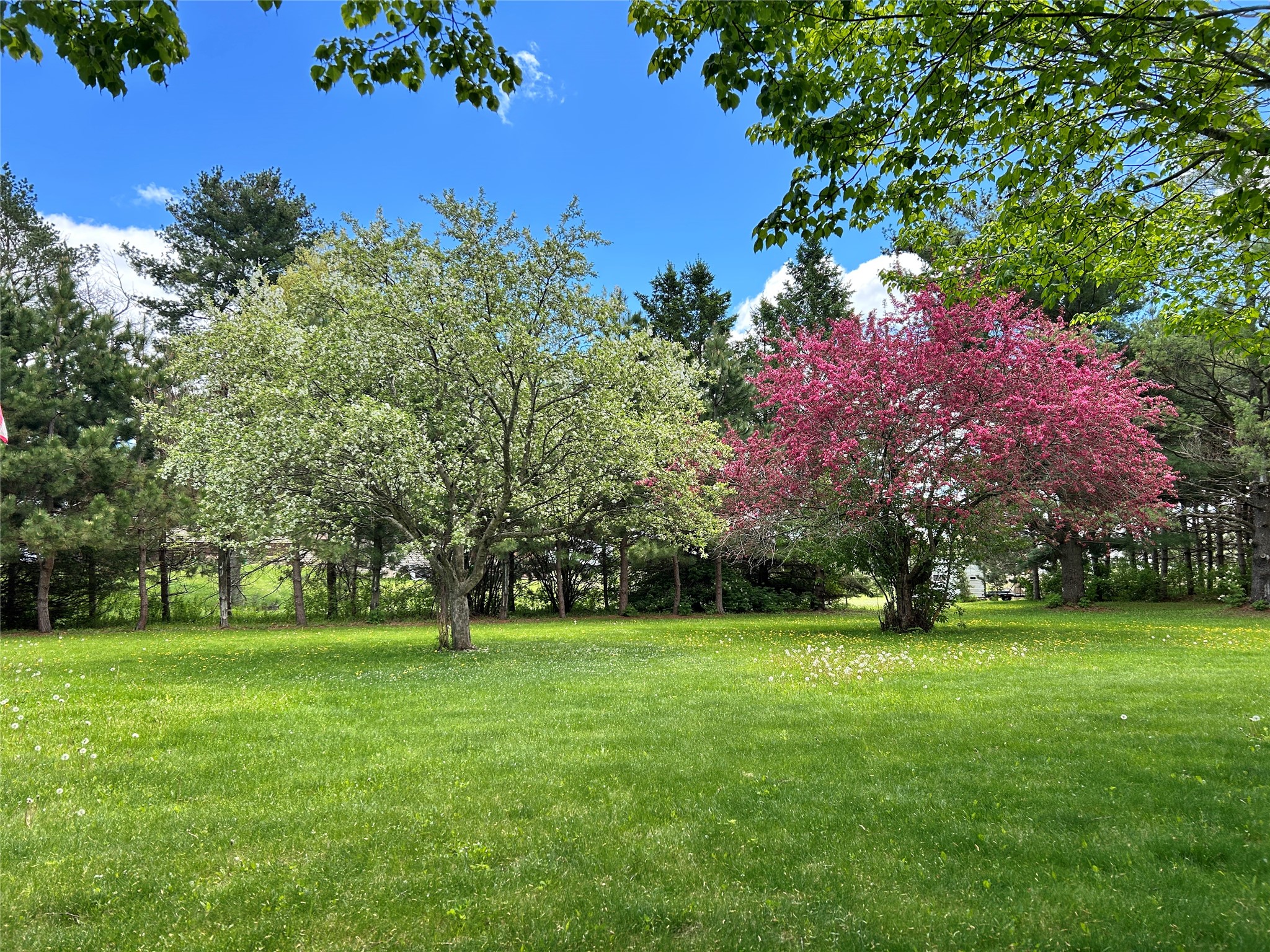 2067 17 3/4 Avenue Rice Lake WI 54868 1601550 image28