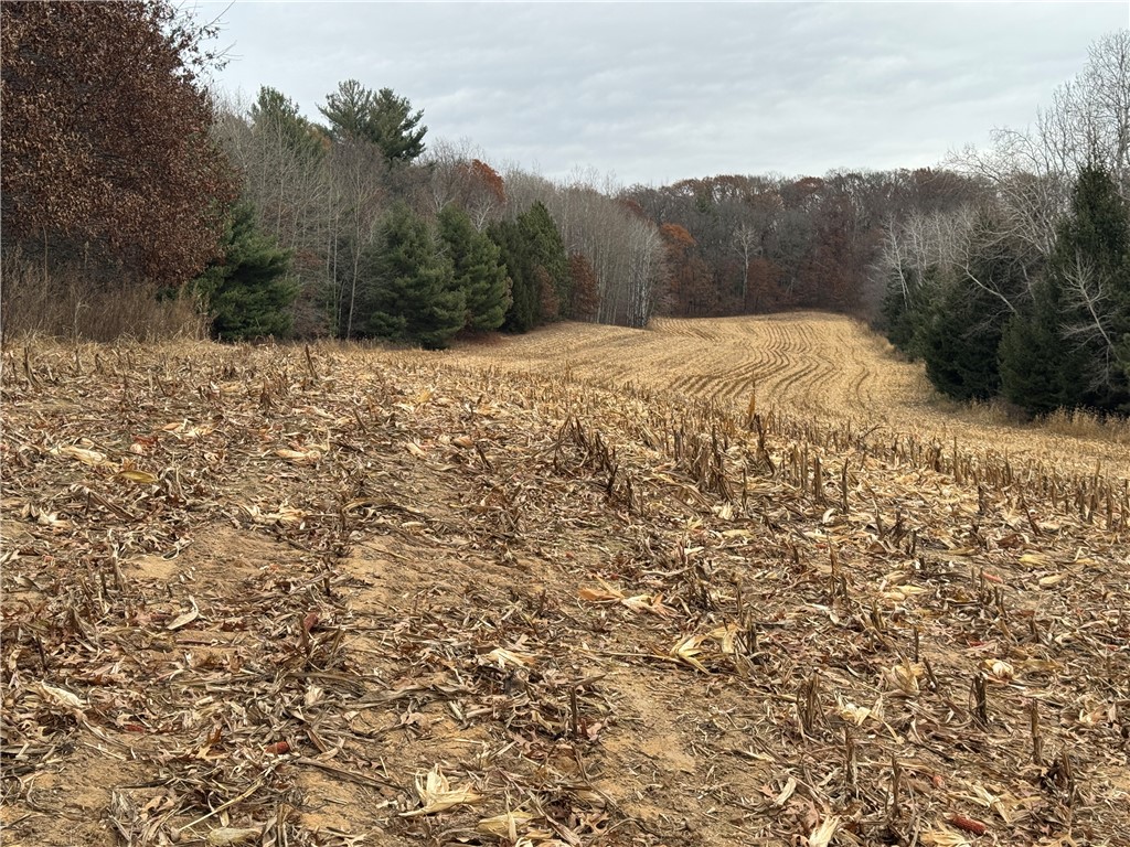 20796 W County Oo Strum WI 54770 1597139 image10