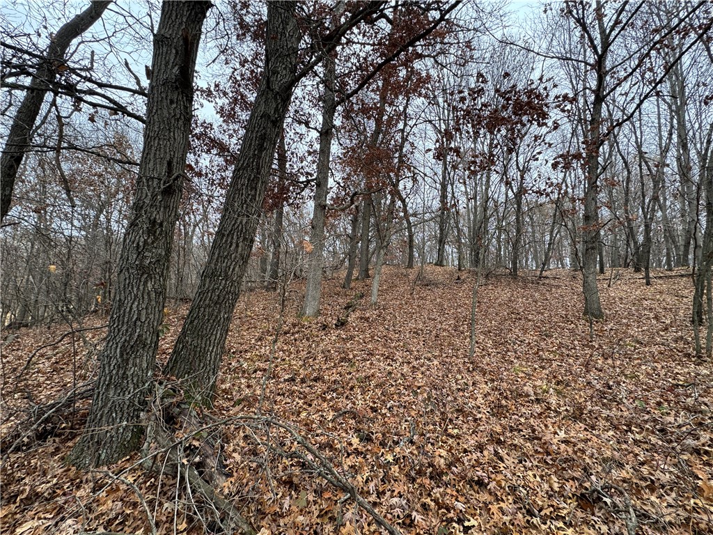 20796 W County Oo Strum WI 54770 1597139 image11