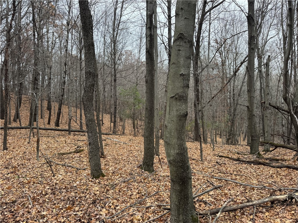 20796 W County Oo Strum WI 54770 1597139 image12