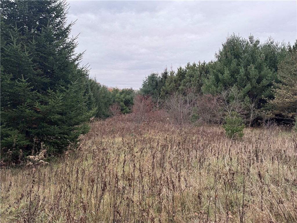 20796 W County Oo Strum WI 54770 1597139 image15