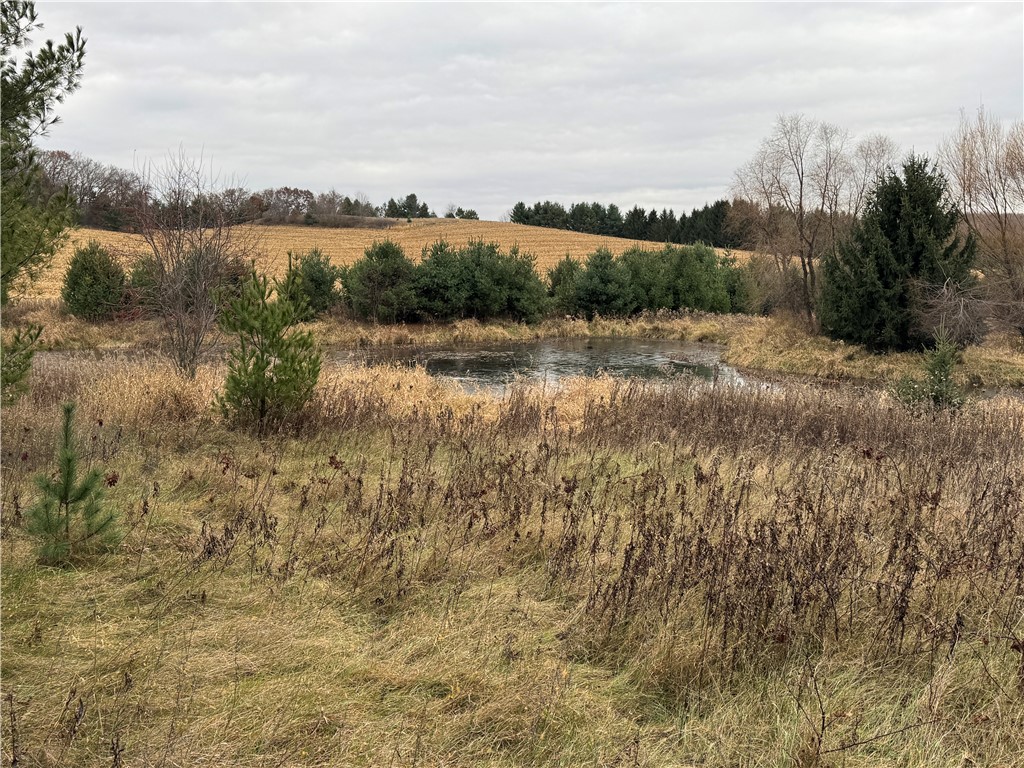 20796 W County Oo Strum WI 54770 1597139 image16