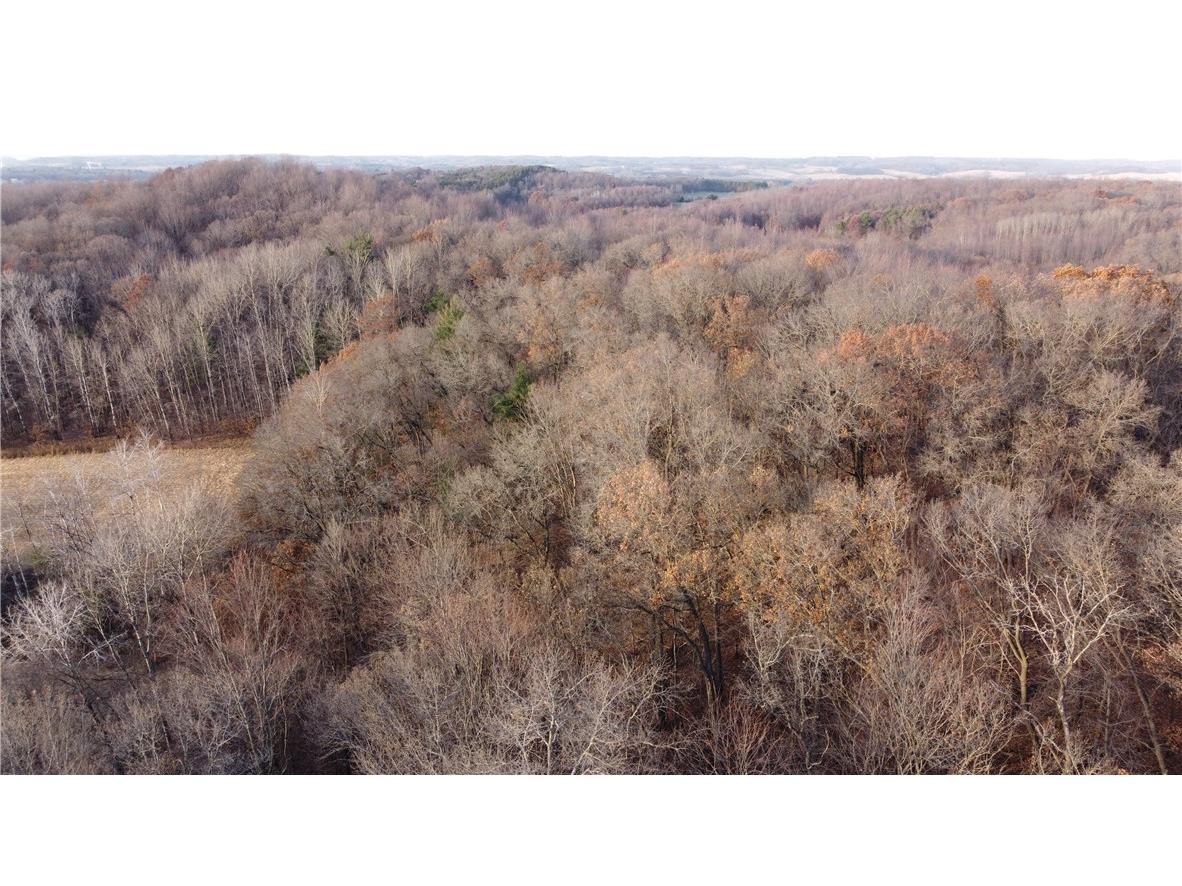 20796 W County Oo Strum WI 54770 1597139 image28