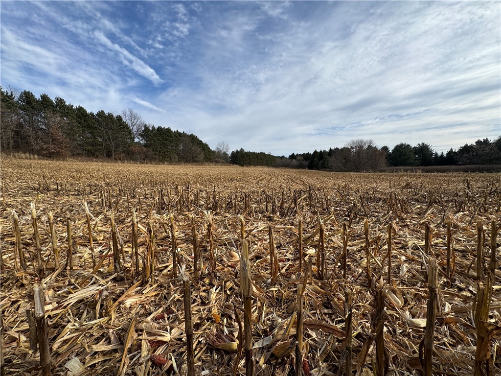 20796 W County Oo Strum WI 54770 1597139 image3