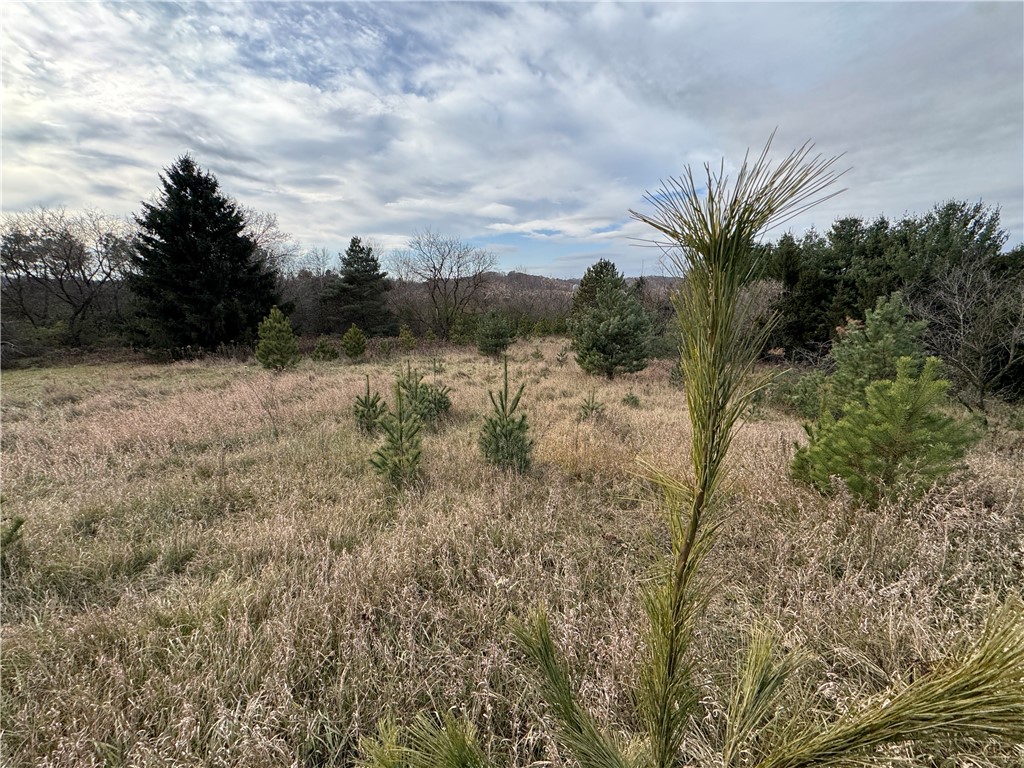 20796 W County Oo Strum WI 54770 1597139 image6