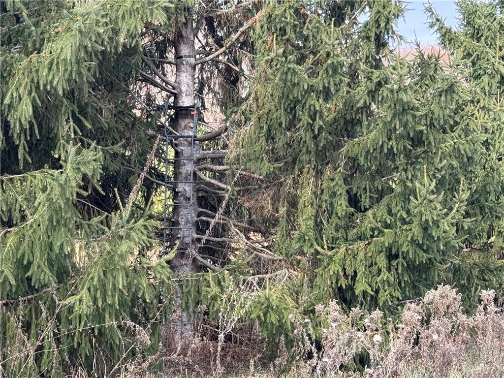 20796 W County Oo Strum WI 54770 1597139 image7