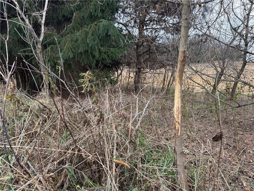 20796 W County Oo Strum WI 54770 1597139 image8