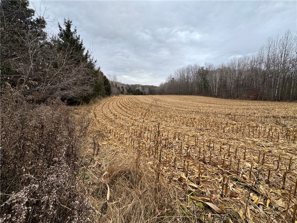 20796 W County Oo Strum WI 54770 1597139 image9