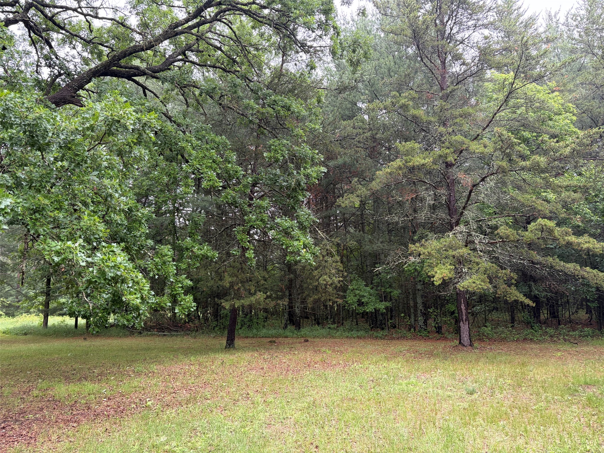 20900 E River Road Grantsburg WI 54840 1602519 image5