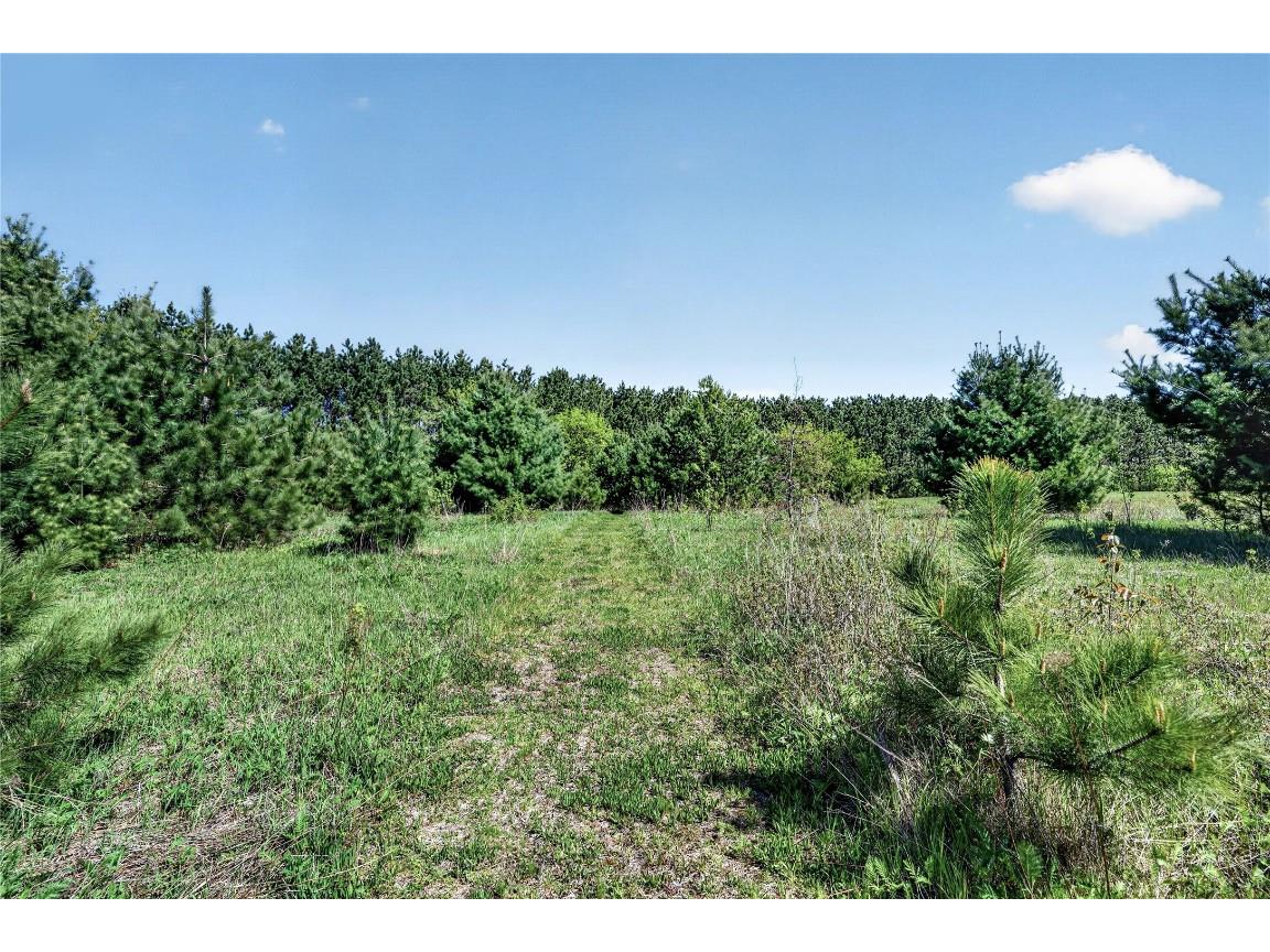 2092 17 1/4 Avenue Rice Lake WI 54868 - MEADOWS 1601279 image50