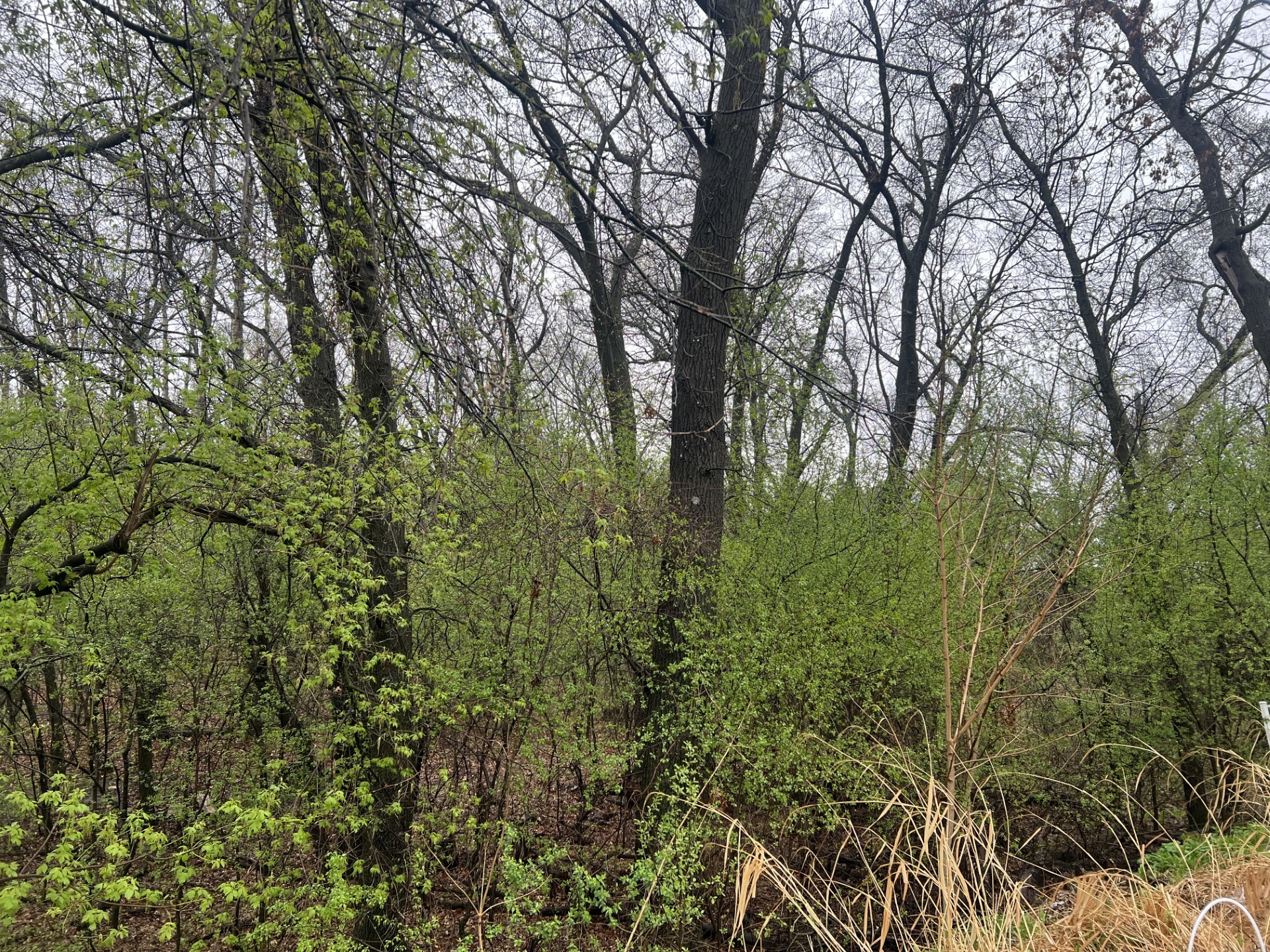 2114 Jannsen Court Menomonie WI 54751 1600457 image36
