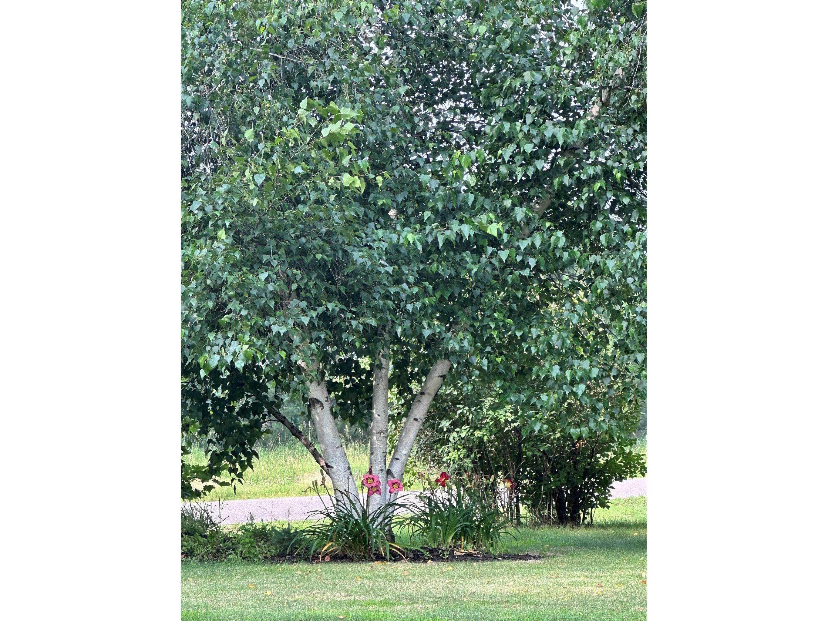 2124 12 1/4 Avenue Cameron WI 54822 1600203 image37