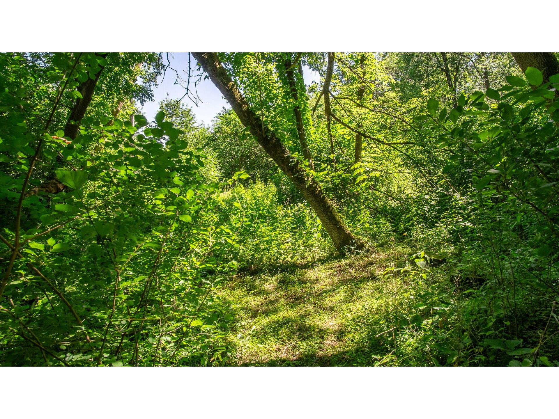 214 Mt. Washington Avenue Eau Claire WI 54703 1603245 image36
