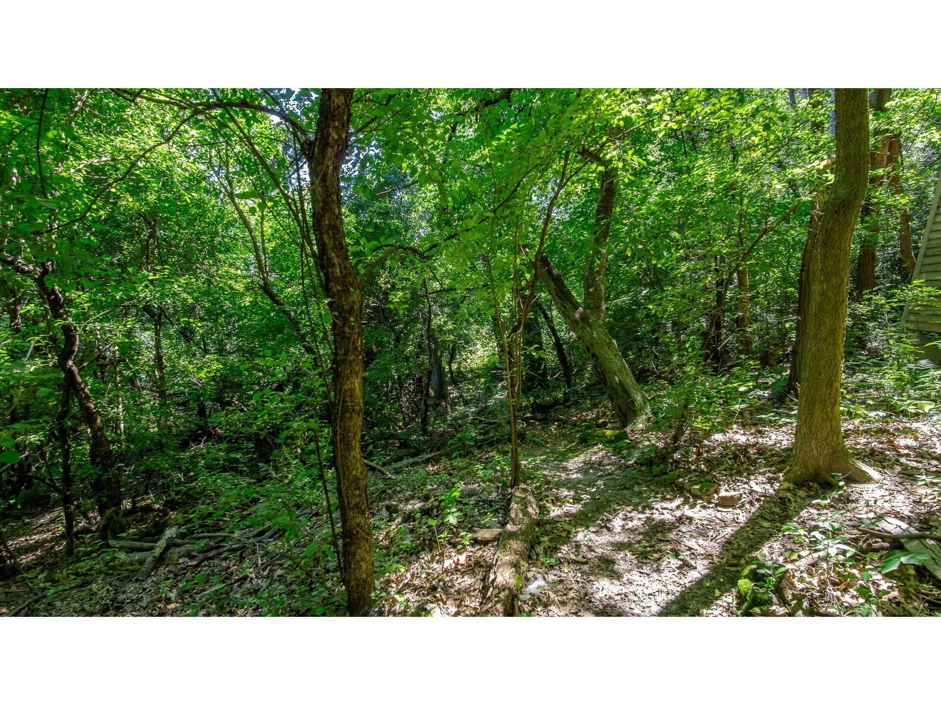 214 Mt. Washington Avenue Eau Claire WI 54703 1603245 image38