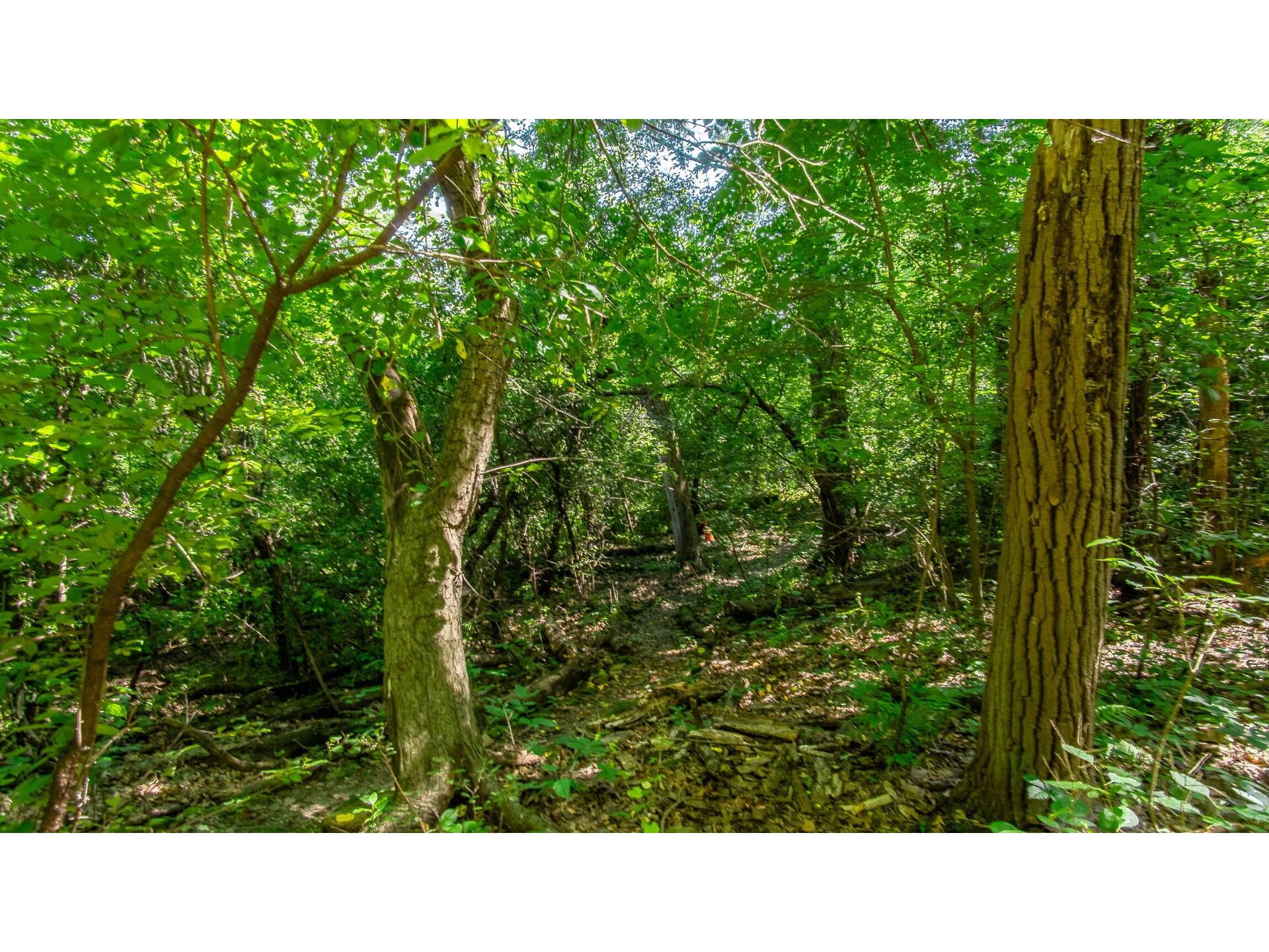 214 Mt. Washington Avenue Eau Claire WI 54703 1603245 image39