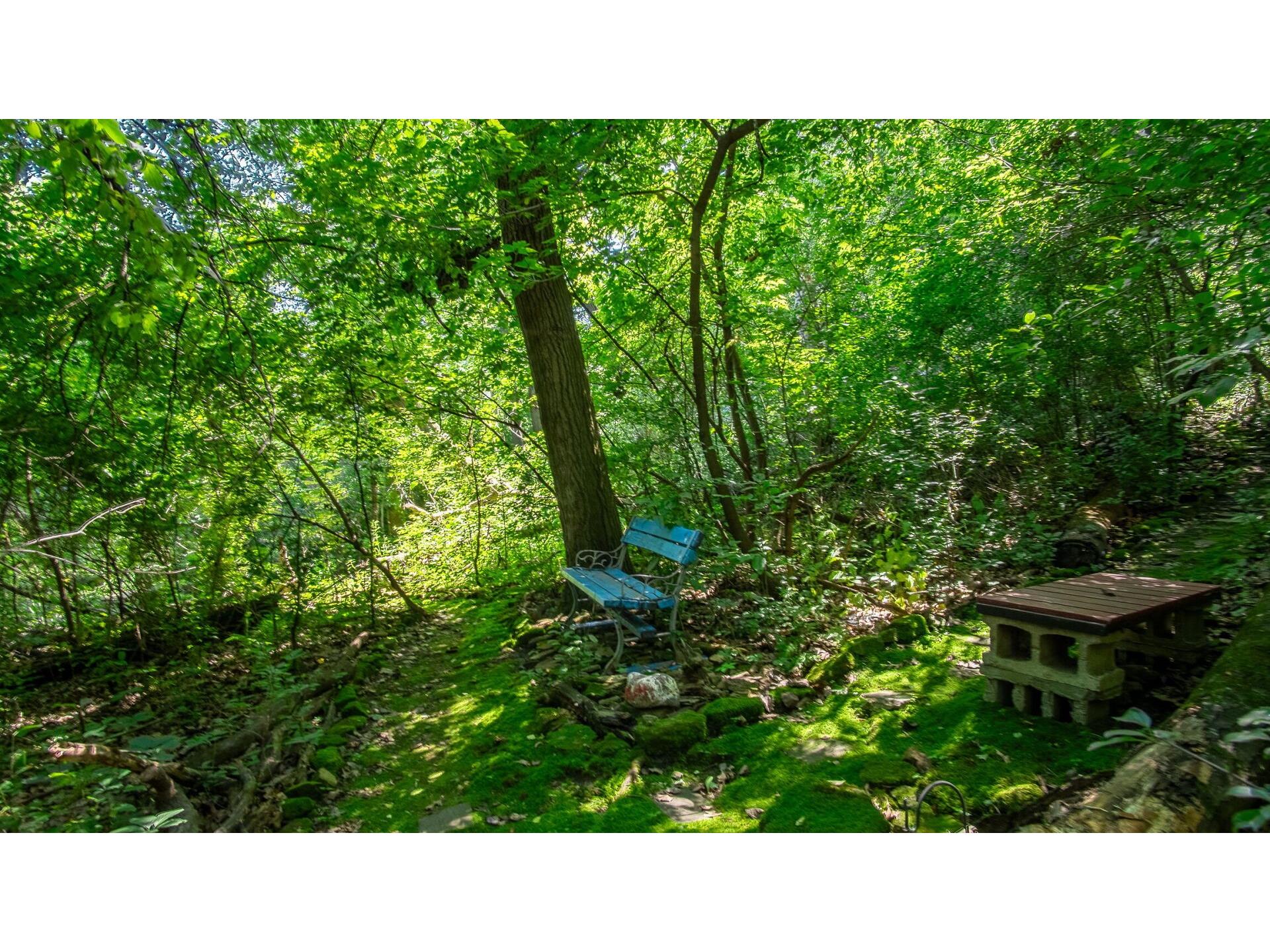 214 Mt. Washington Avenue Eau Claire WI 54703 1603245 image41