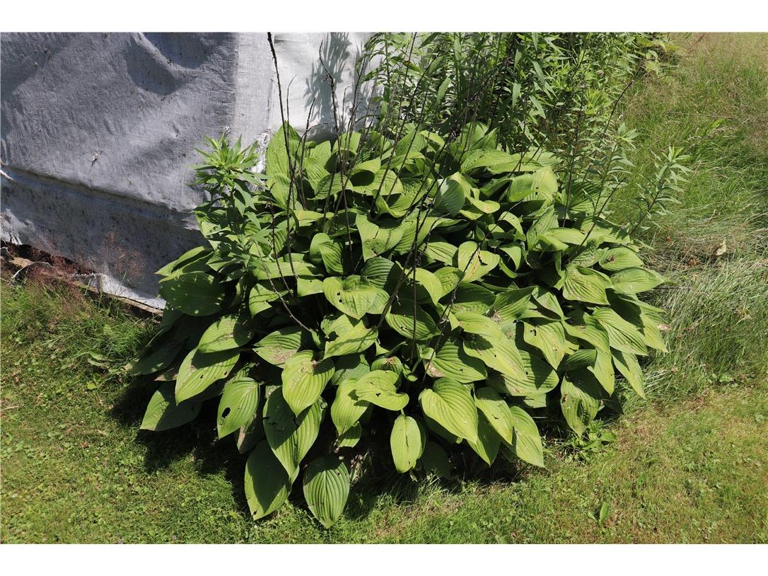 218 E Main Street Fairchild WI 54741 1593417 image36