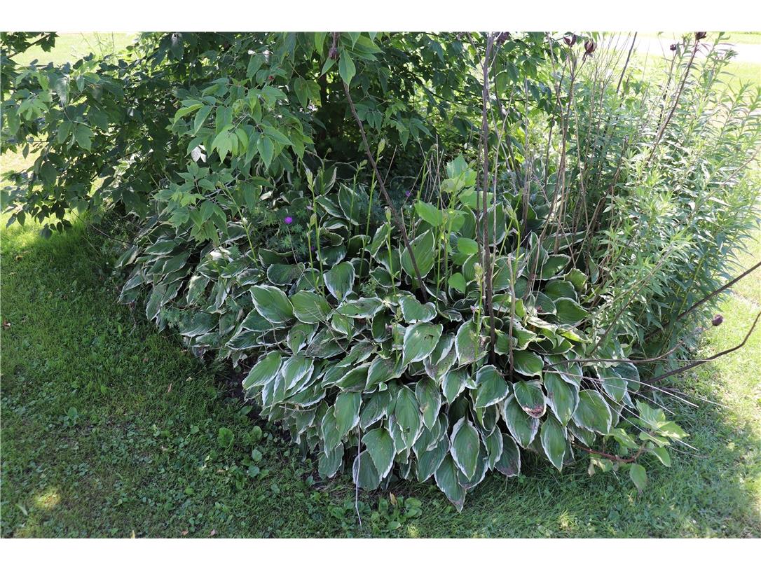 218 E Main Street Fairchild WI 54741 1593417 image37