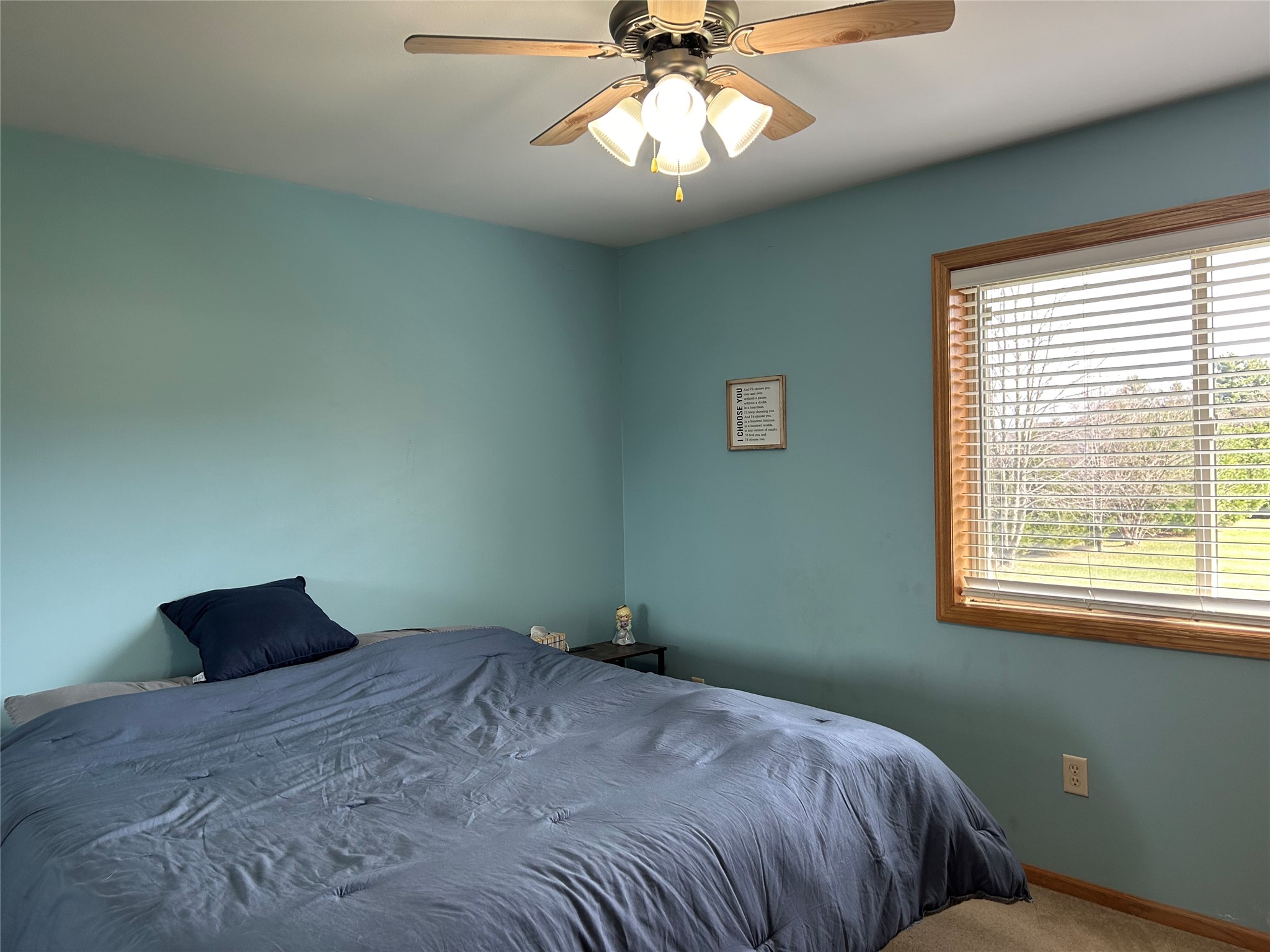 2193 13 1/4 Avenue Cameron WI 54822 1599963 image21