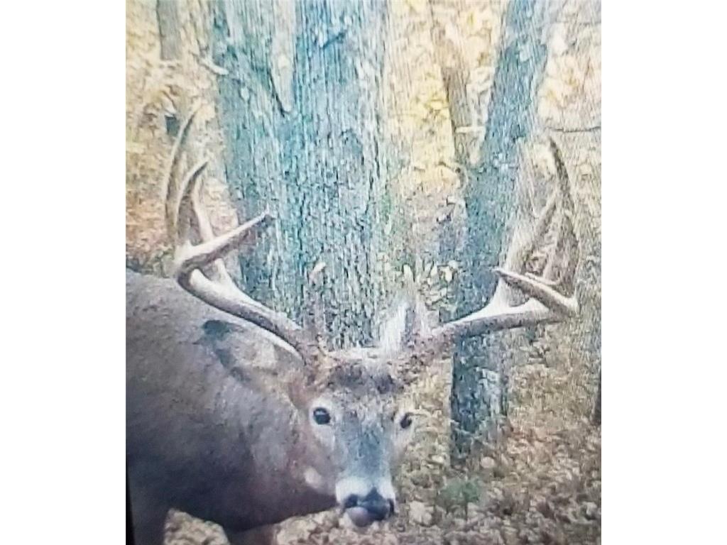 22045 Zink Road Fairchild WI 54741 - Hay Creek 1591493 image1