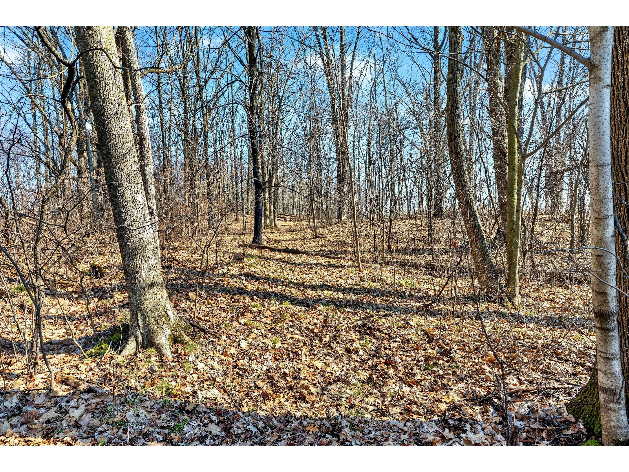 2205 9 3/4 Street Cumberland WI 54829 - Upper Vermillion 1600026 image25