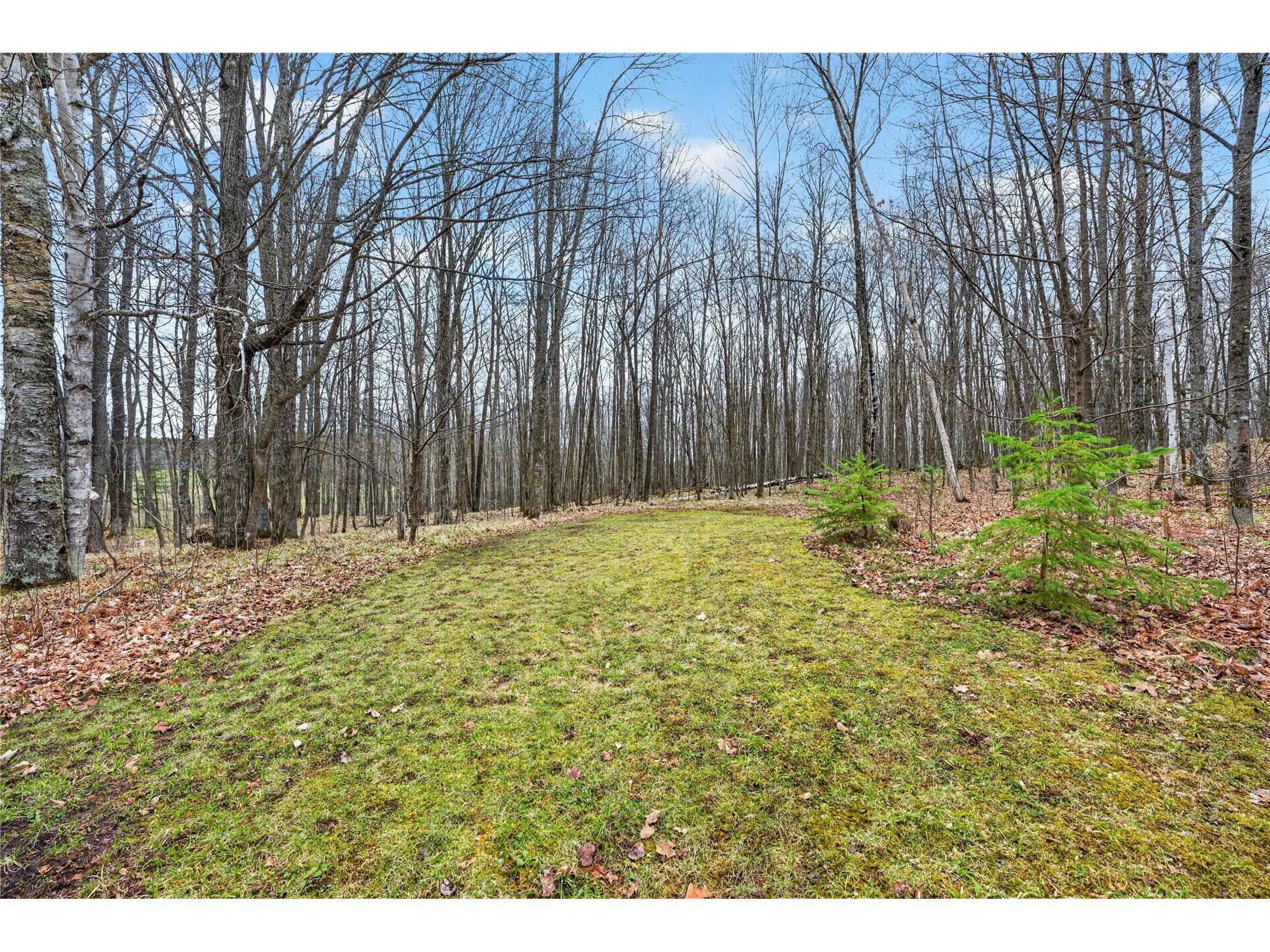 22535 Tuttles Lane Grand View WI 54839 1600648 image34