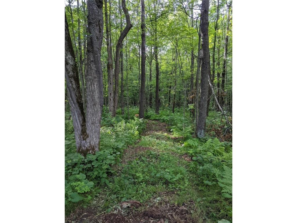 22803 Paulich Road Frederic WI 54837 1587665 image1