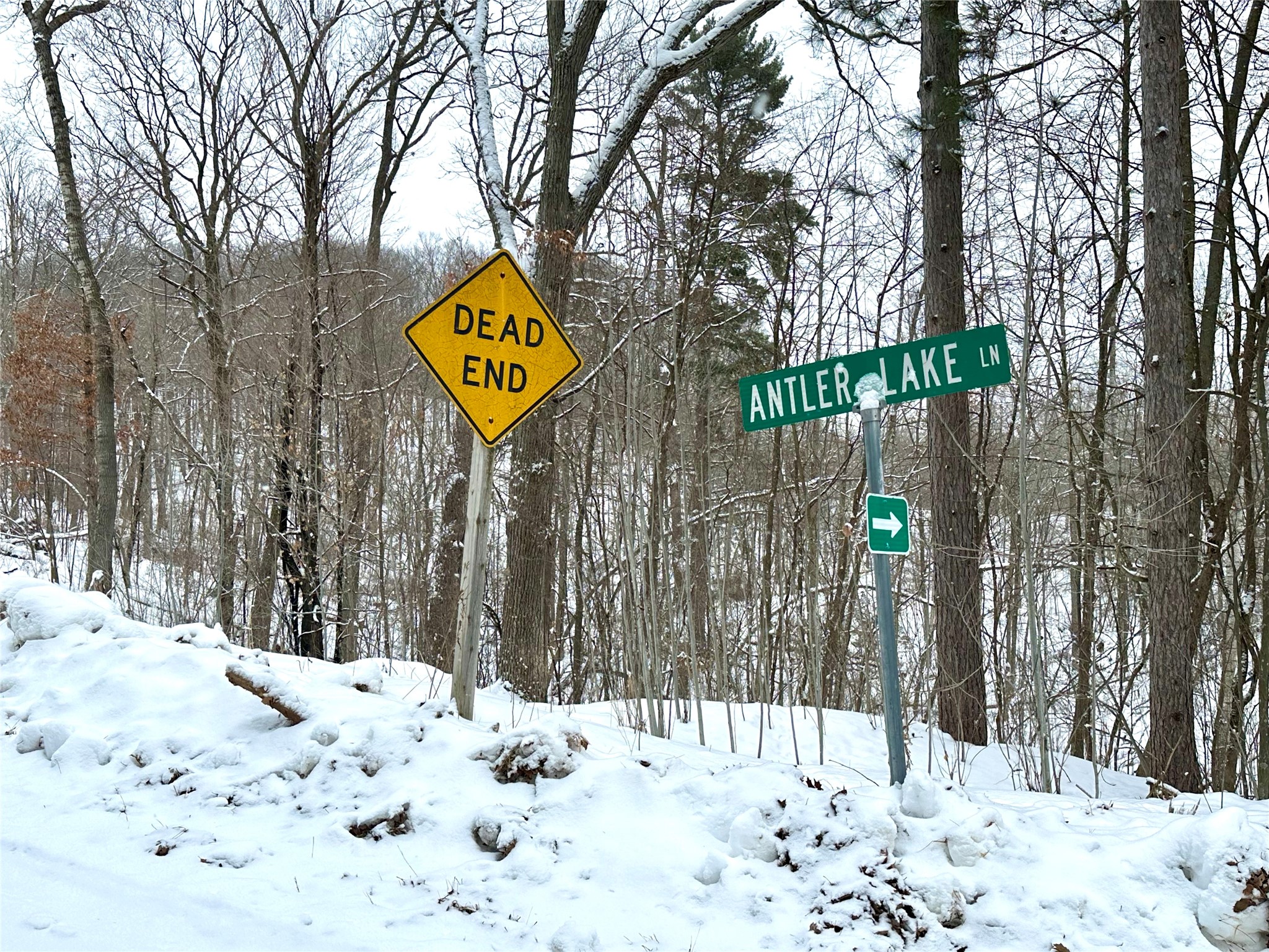 23.88 Acres Antler Lake Drive Milltown WI 54858 1601587 image1
