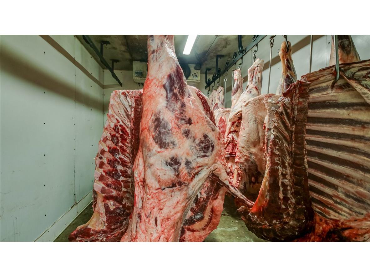 2310 S Main Street Bloomer WI 54724 1589413 image9