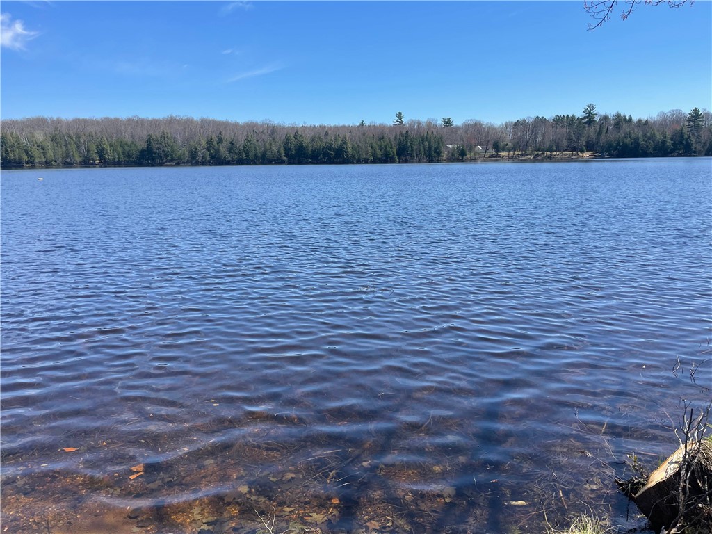 23165 Joy Villa Road #6 Glidden WI 54527 - Torrey Lake 1591969 image6