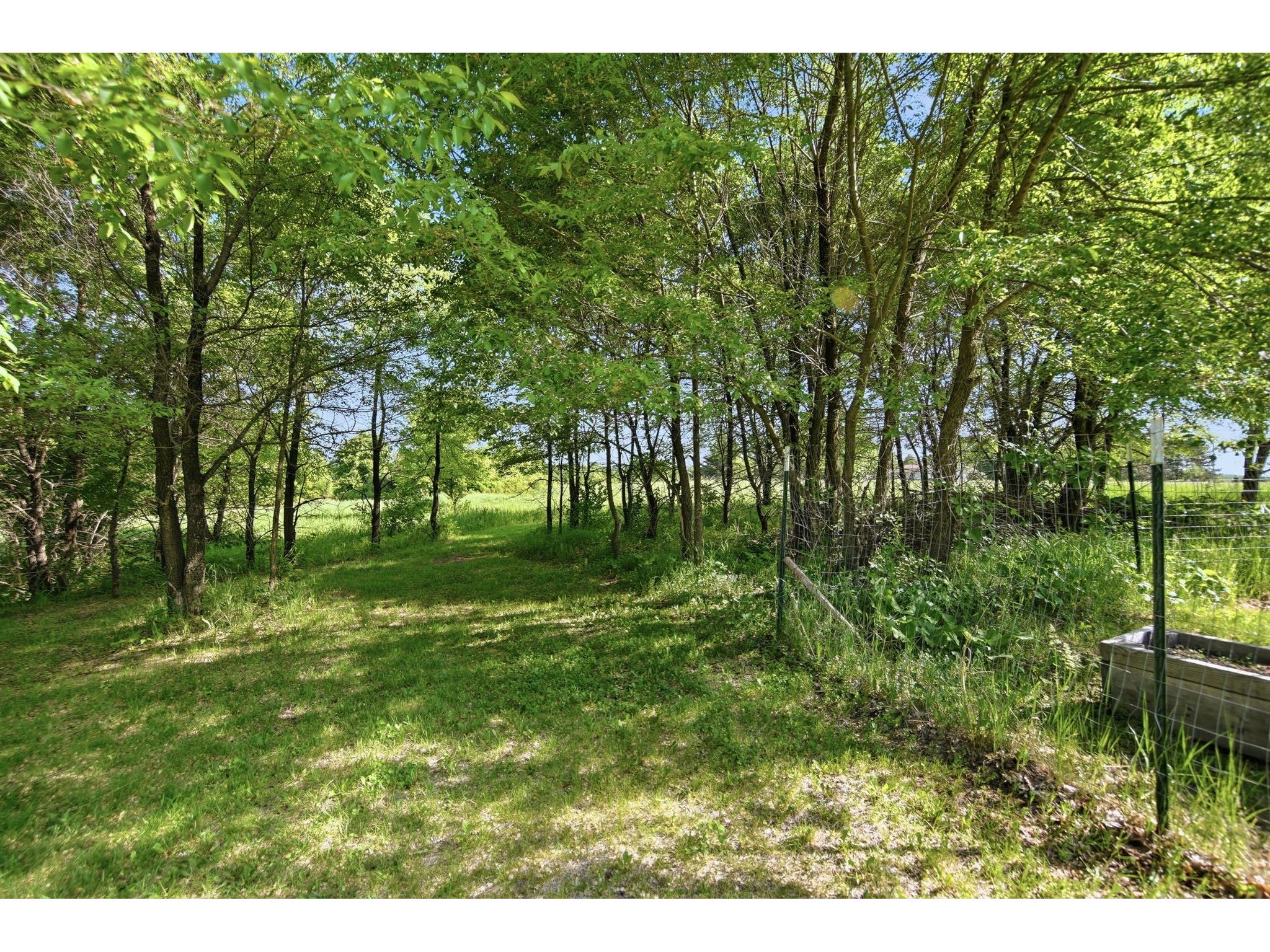 2317 145th Street Luck WI 54853 1601964 image30