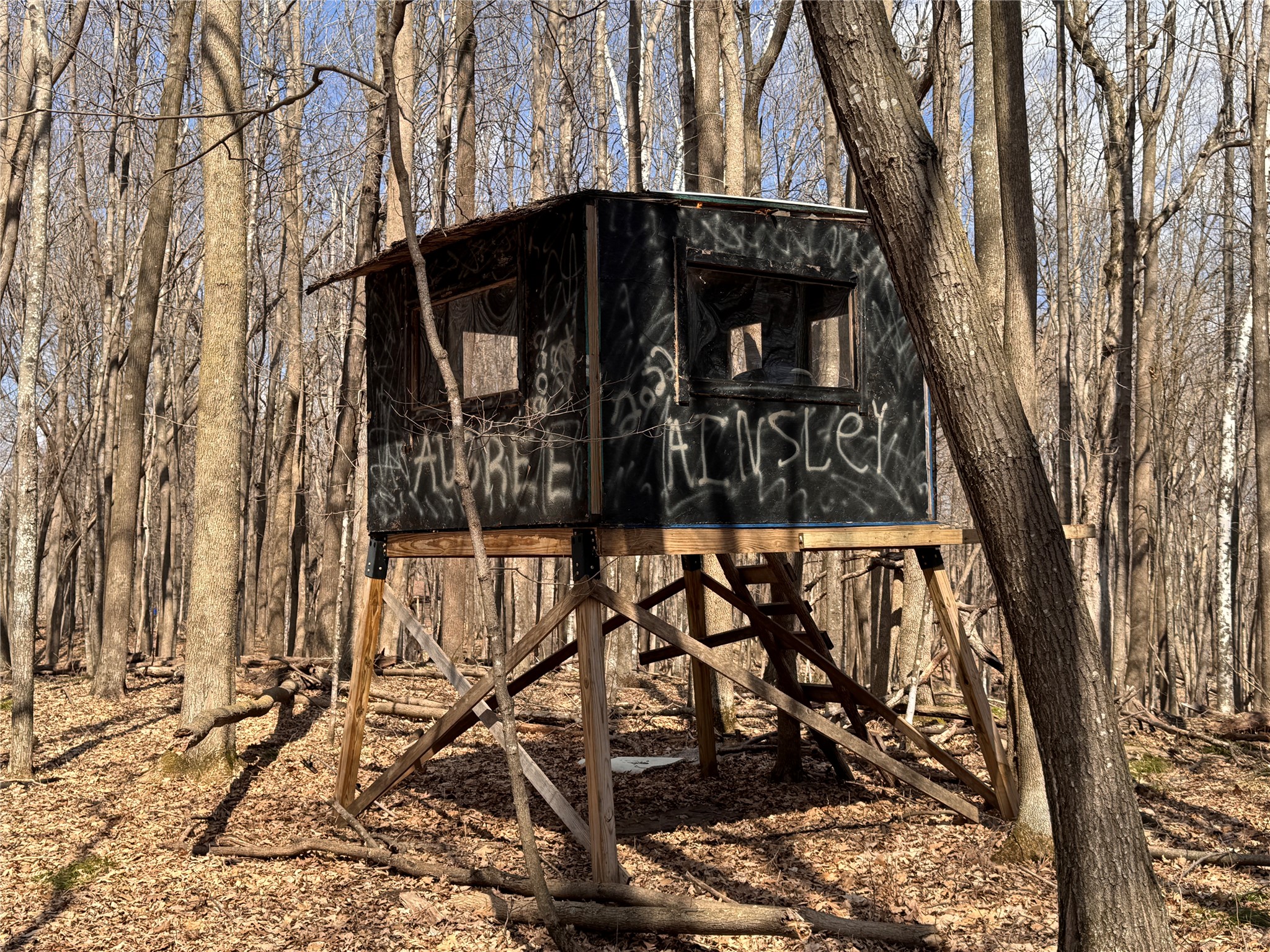 2339 150th 150th Street Luck WI 54853 1600002 image15