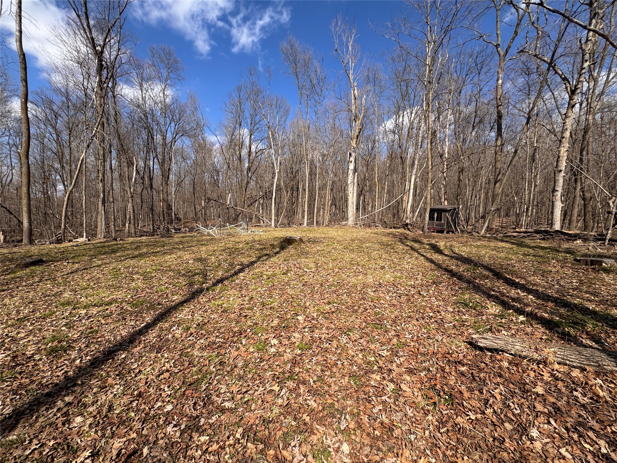 2339 150th 150th Street Luck WI 54853 1600002 image17