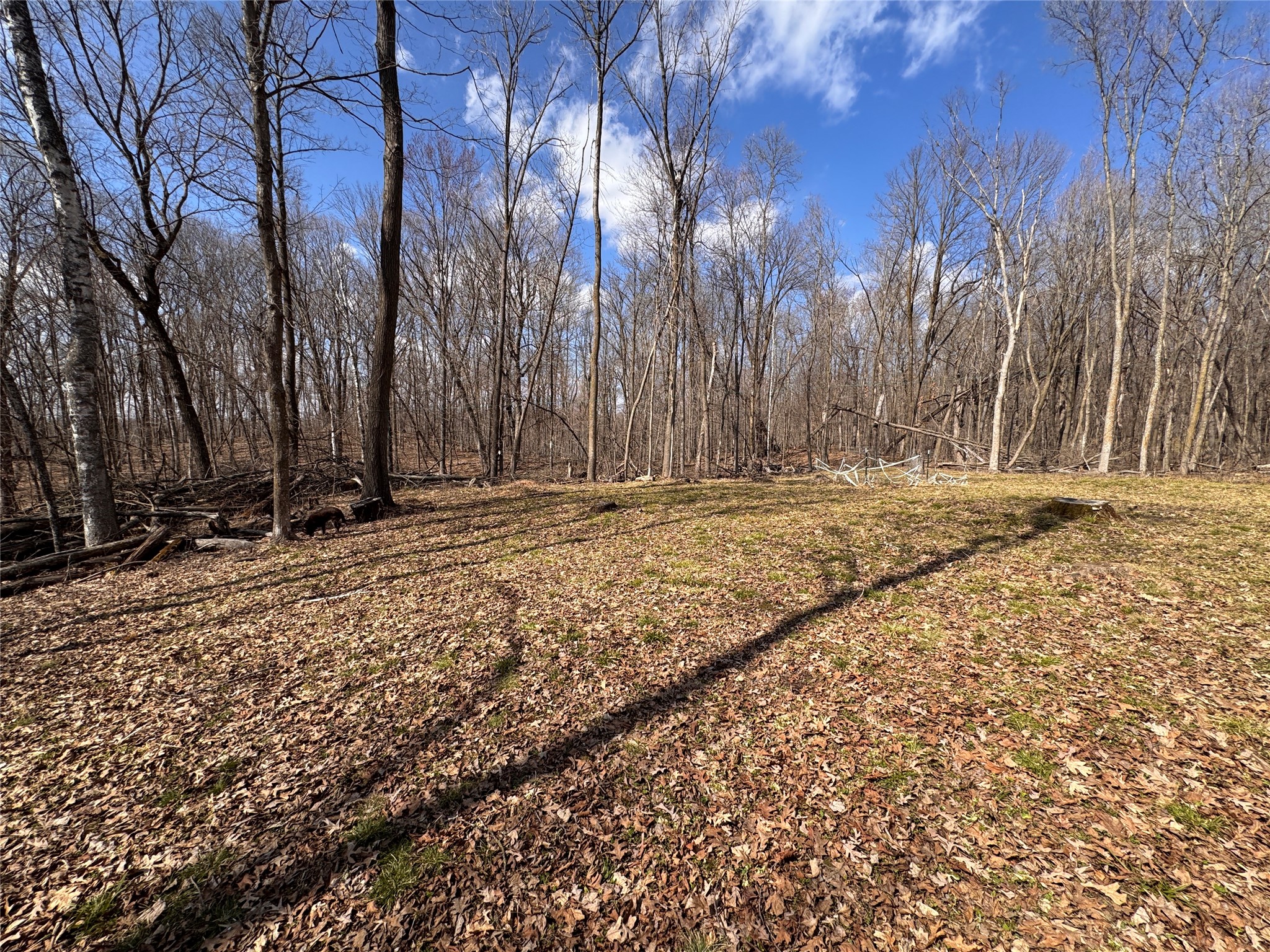 2339 150th 150th Street Luck WI 54853 1600002 image18