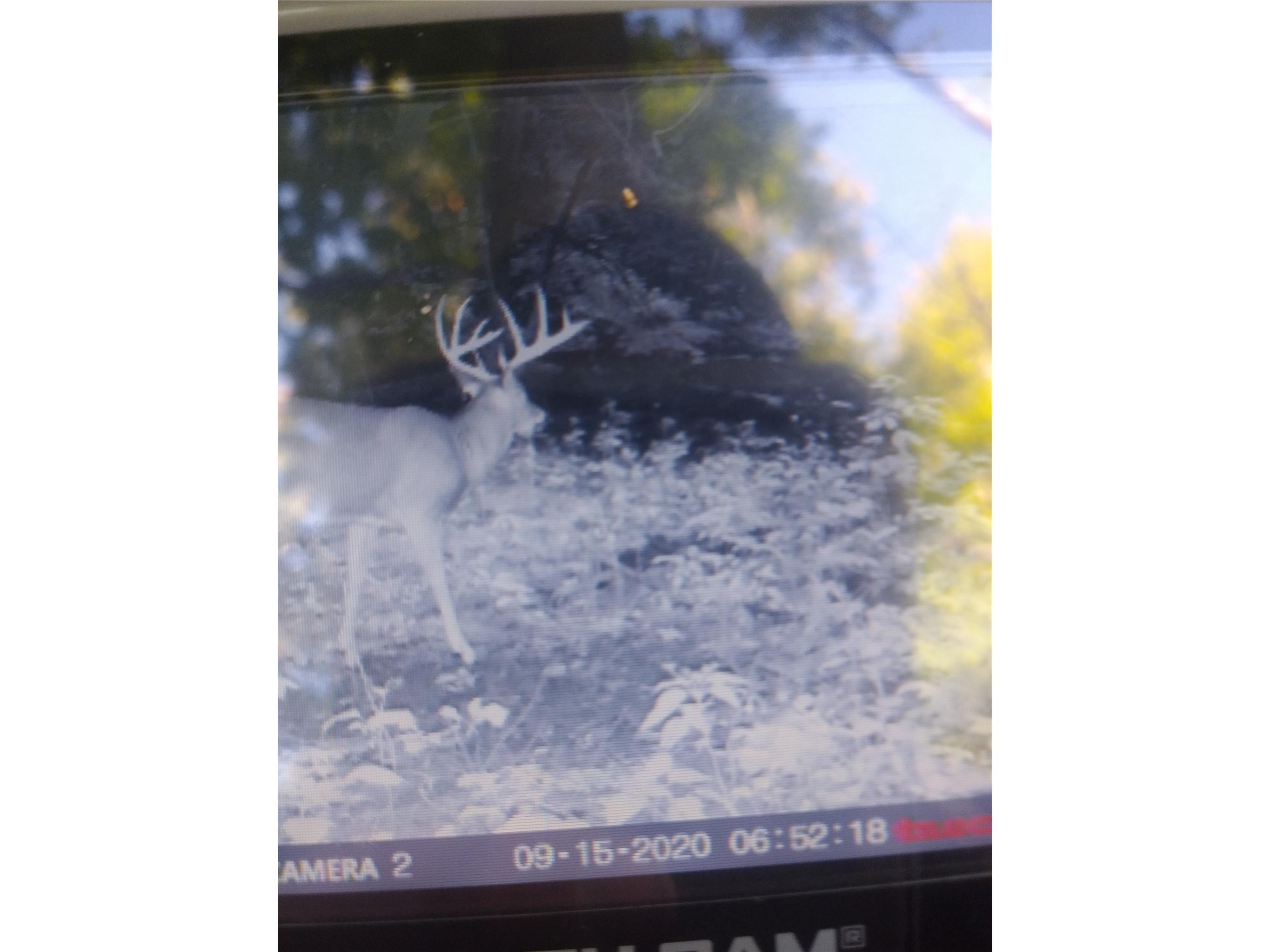 2339 150th 150th Street Luck WI 54853 1600002 image3